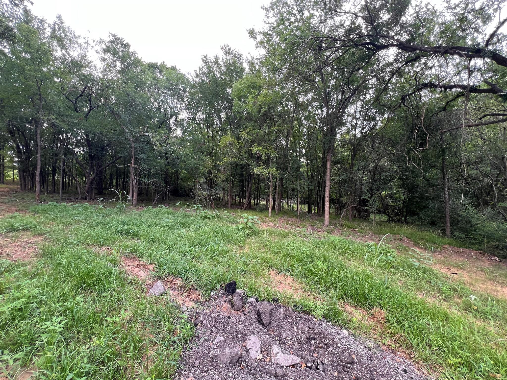 TBD FM 3000 Tract 1, Elgin, TX 78621