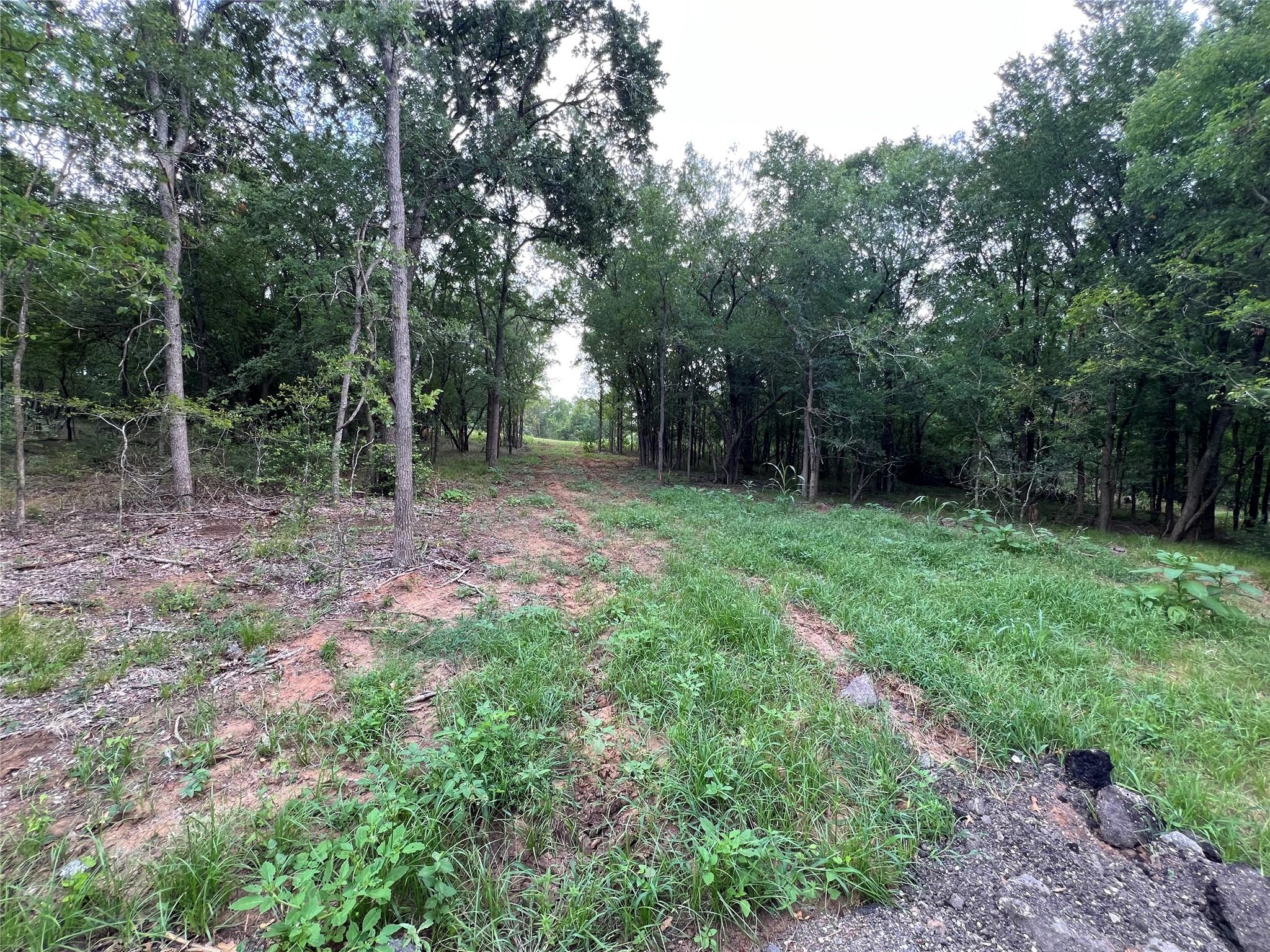 TBD FM 3000 Tract 1, Elgin, TX 78621