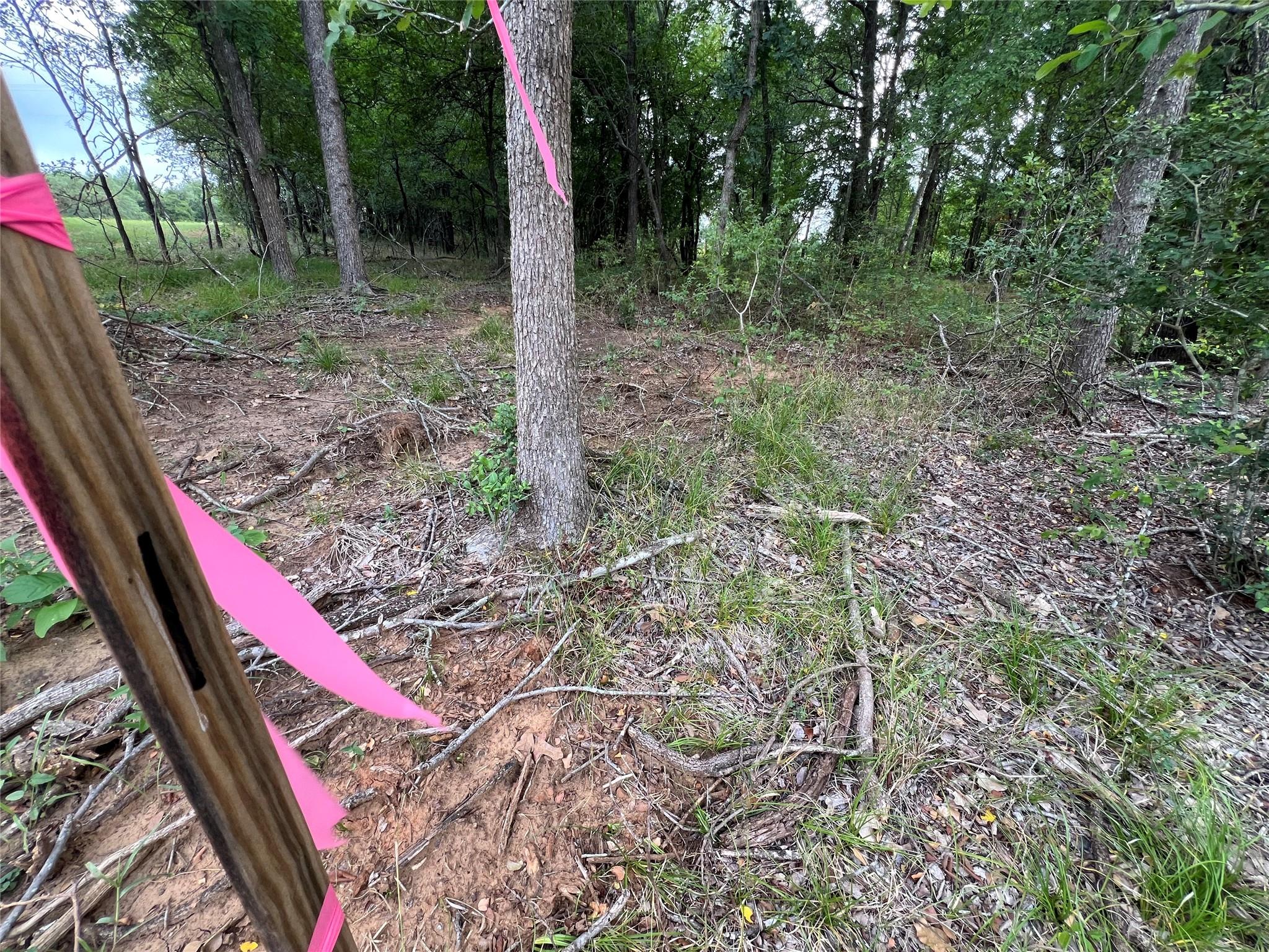 TBD FM 3000 Tract 1, Elgin, TX 78621