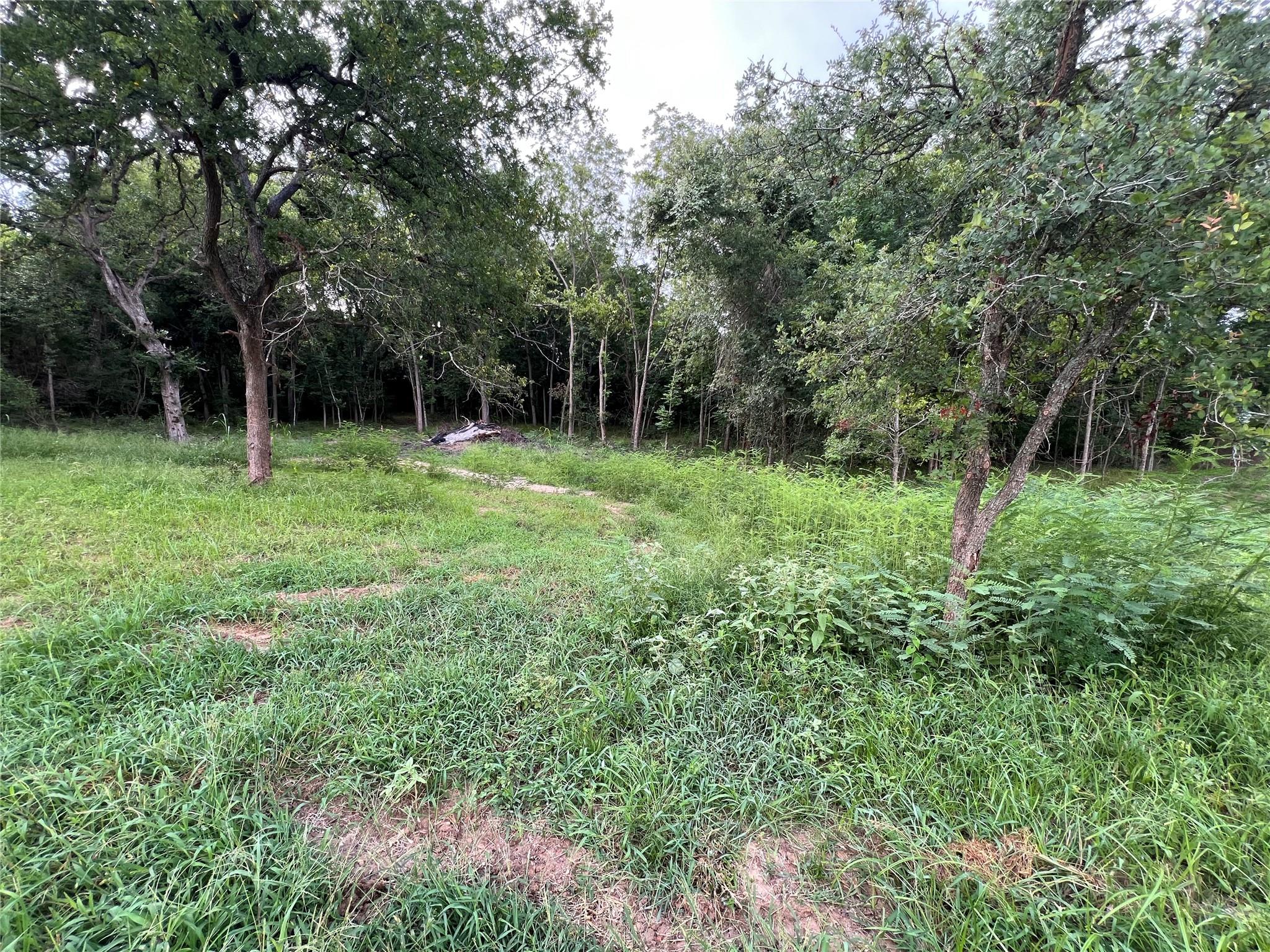 TBD FM 3000 Tract 1, Elgin, TX 78621