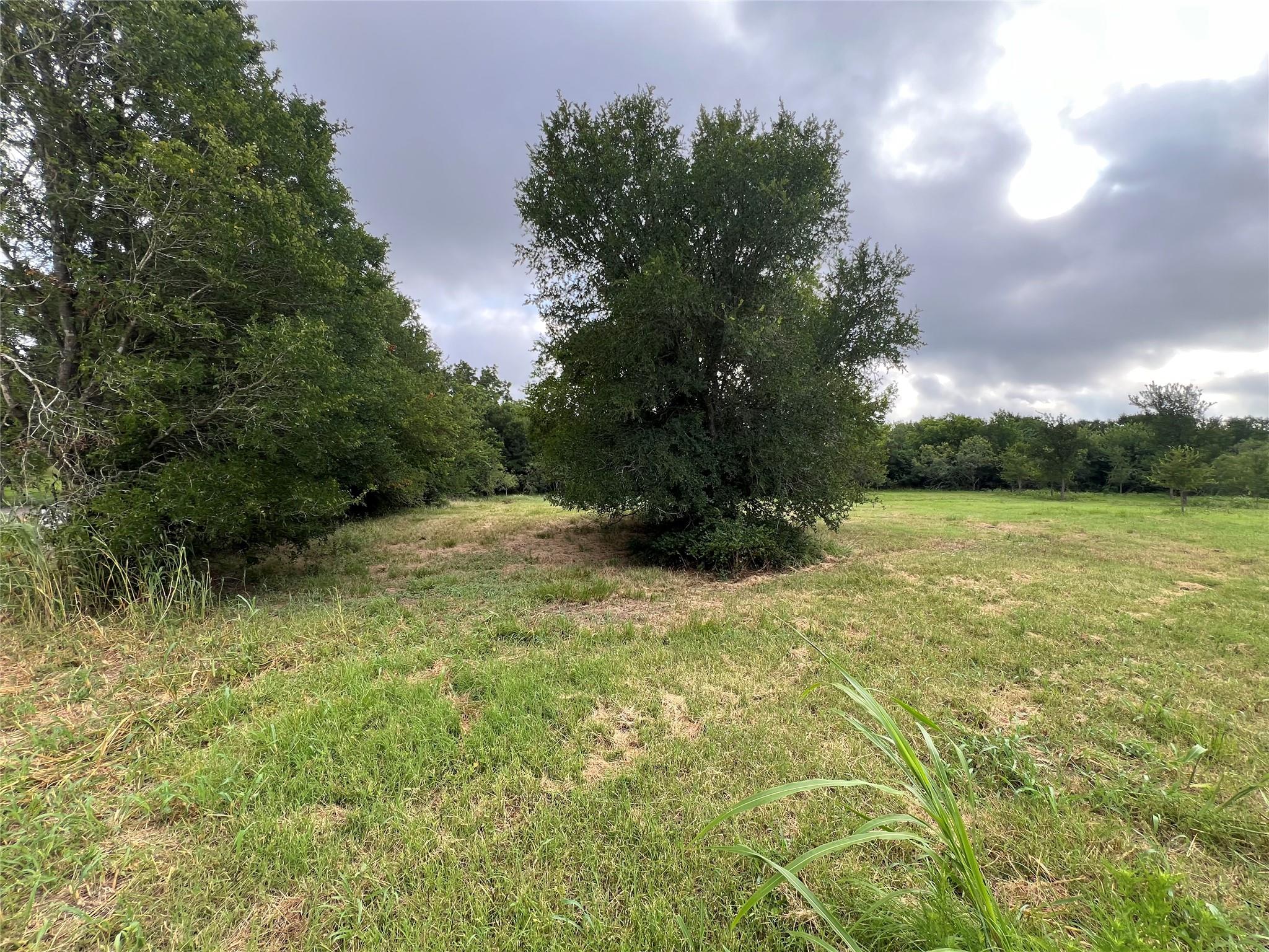 TBD FM 3000 Tract 2, Elgin, TX 78621