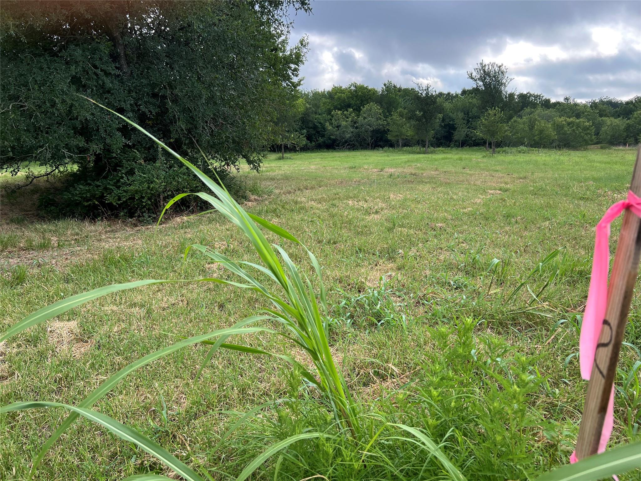 TBD FM 3000 Tract 2, Elgin, TX 78621