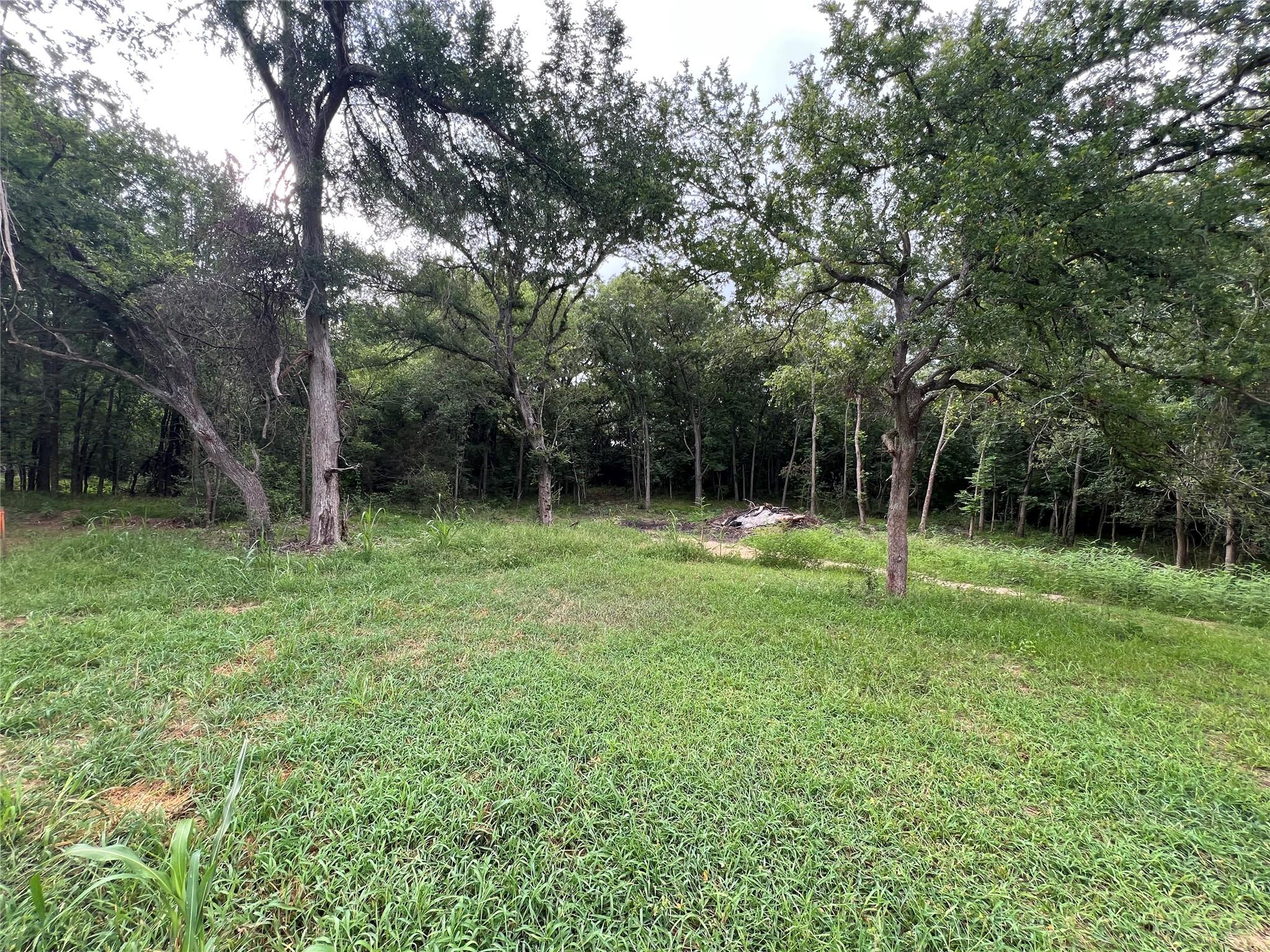 TBD FM 3000 Tract 2, Elgin, TX 78621