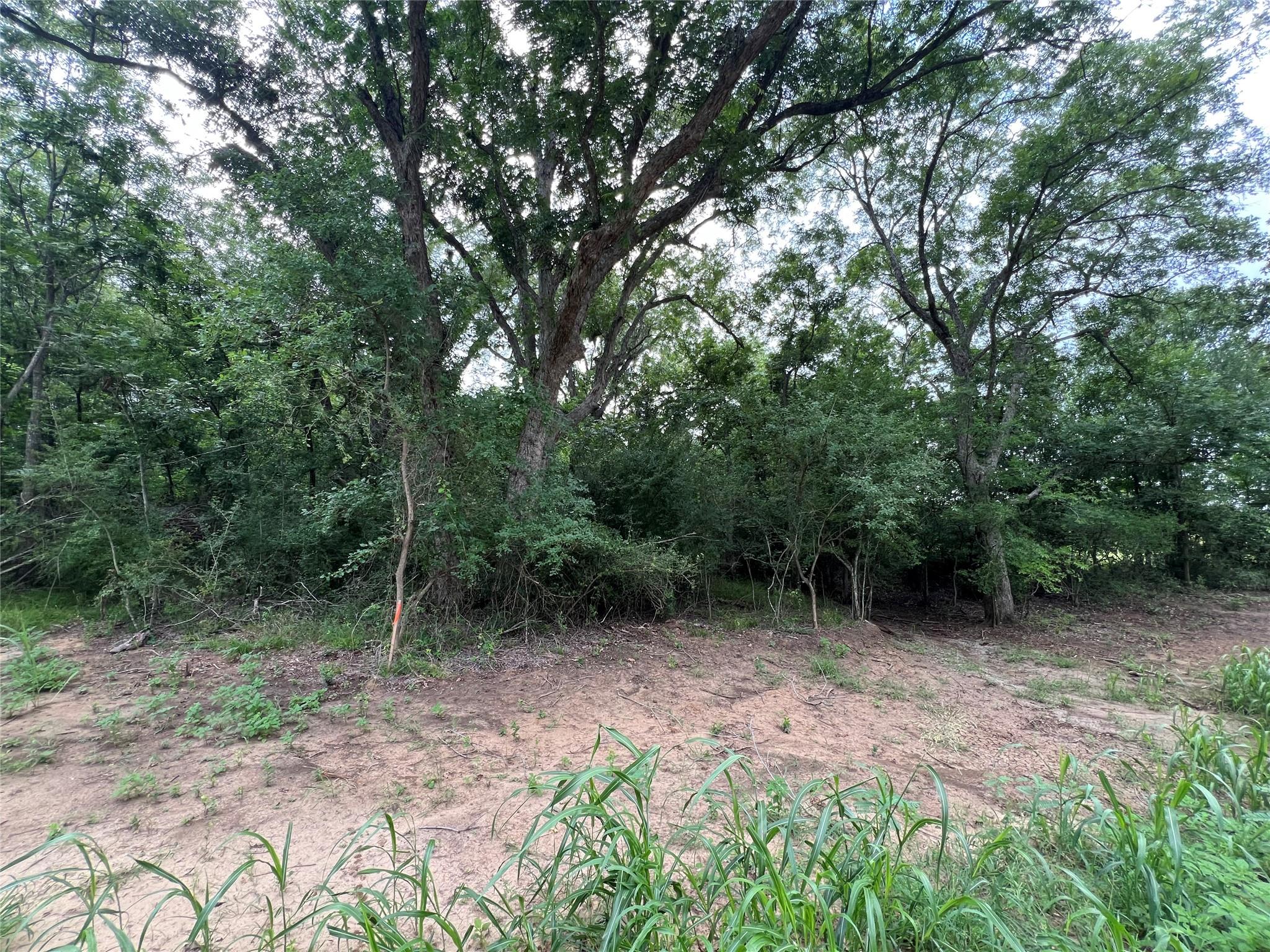 TBD FM 3000 Tract 2, Elgin, TX 78621