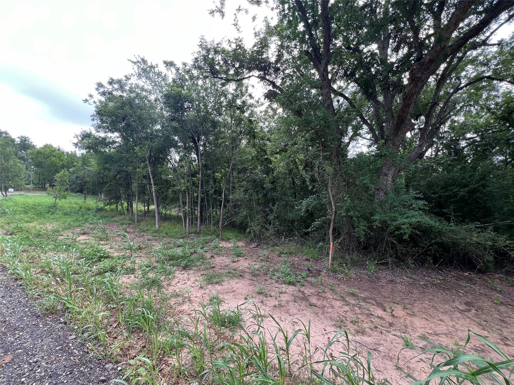 TBD FM 3000 Tract 2, Elgin, TX 78621