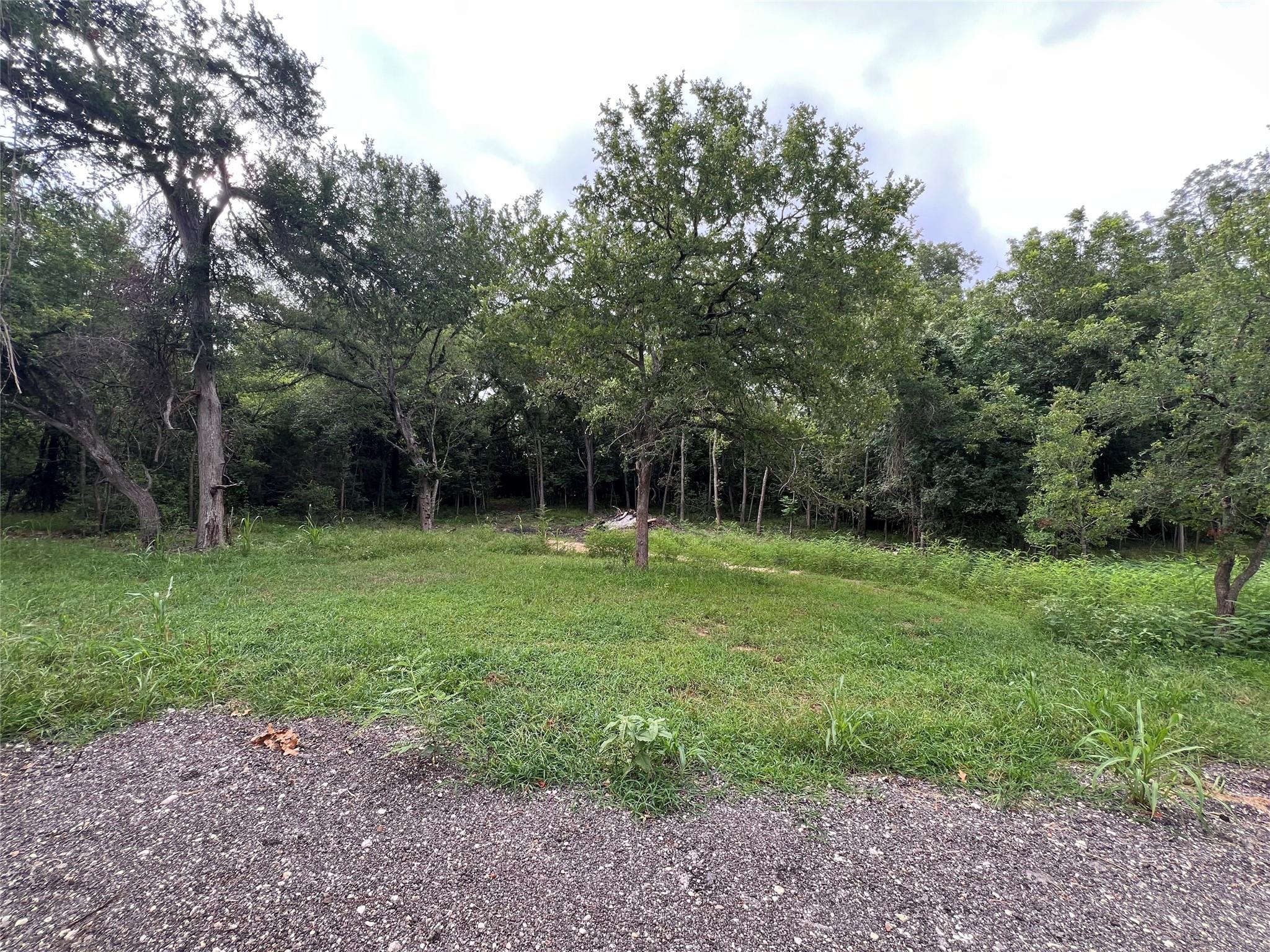 TBD FM 3000 Tract 2, Elgin, TX 78621