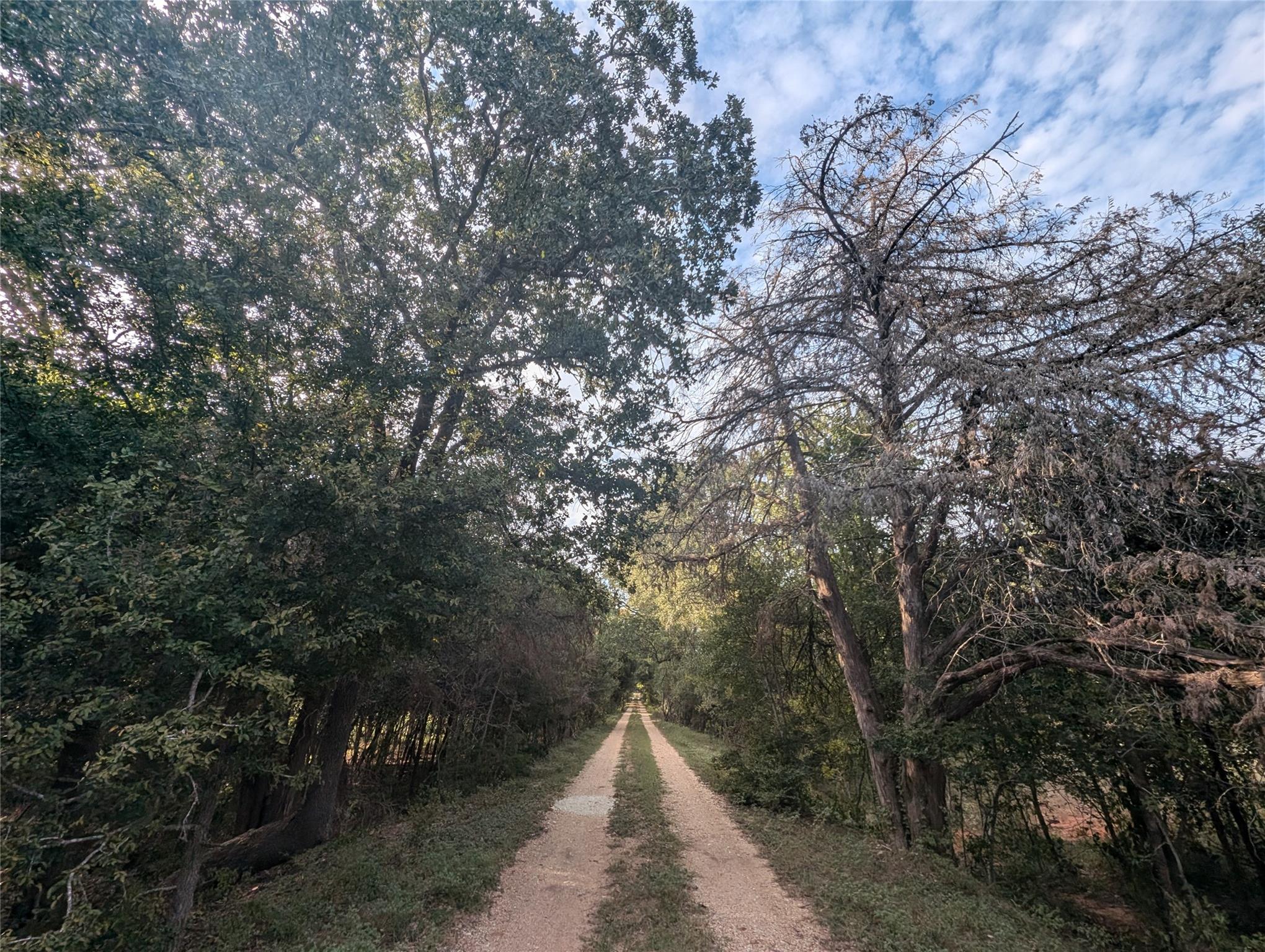 1141 E 3rd St, Rockdale, TX 76567