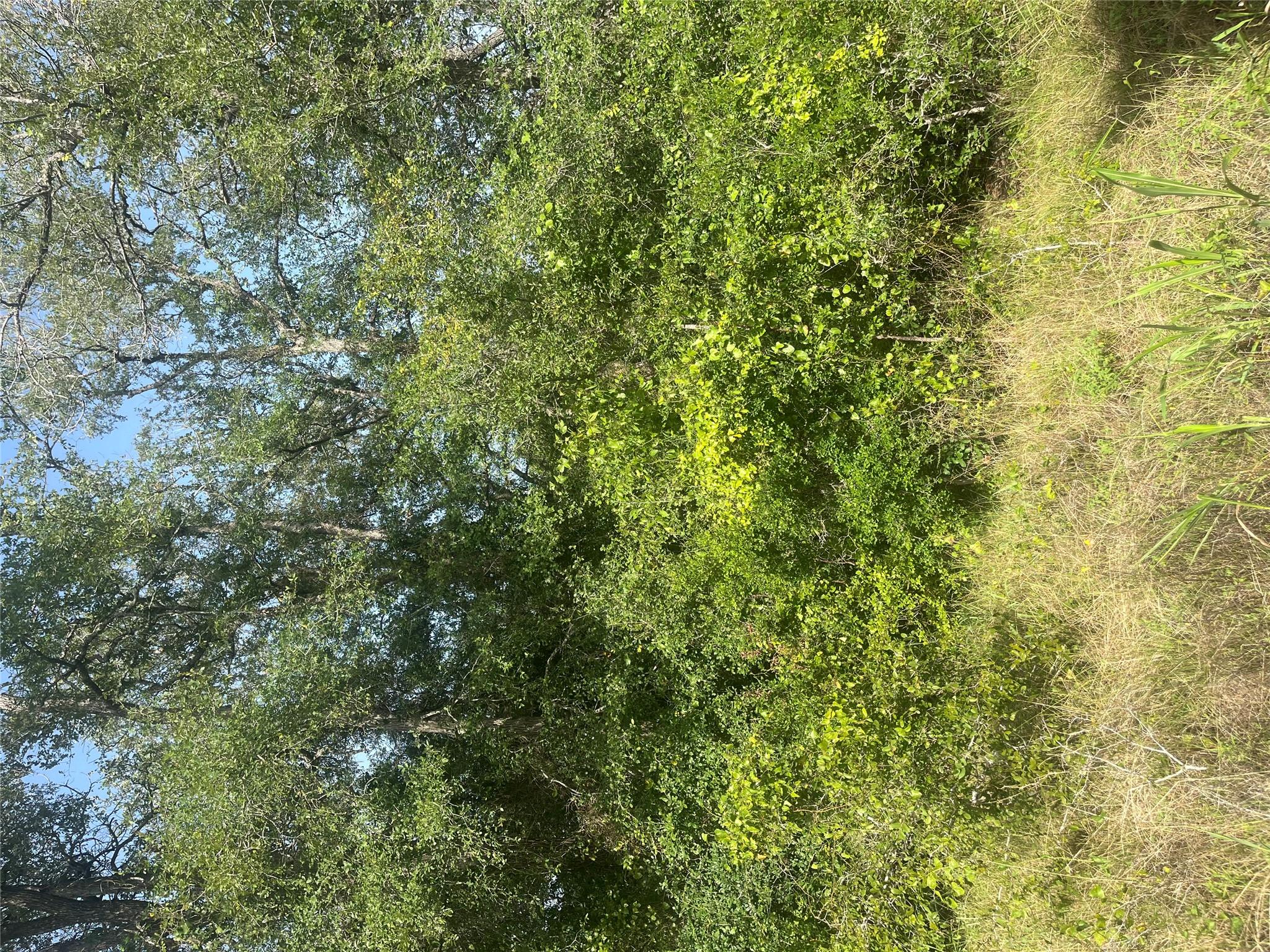 TBD Smith Rds, Bastrop, TX 78602