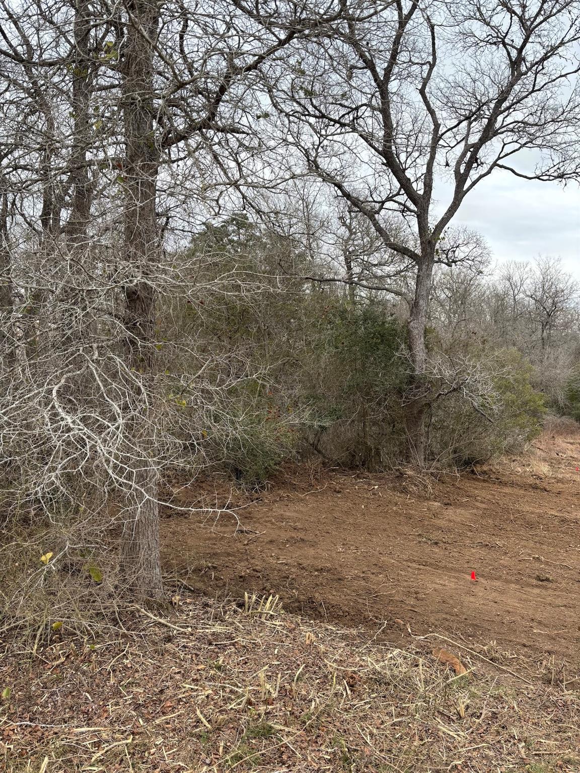 TBD Smith Rds, Bastrop, TX 78602