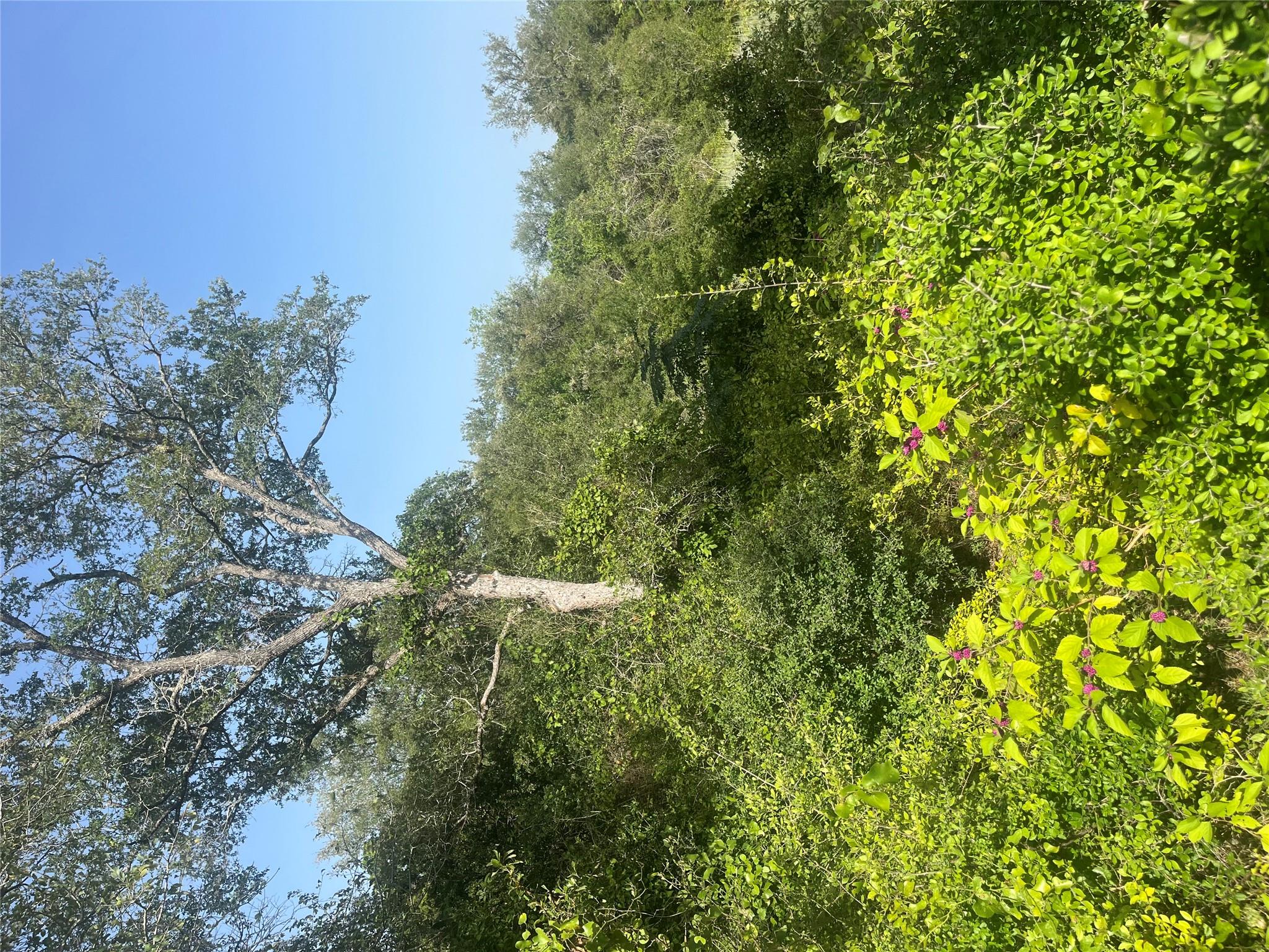 TBD Smith Rds, Bastrop, TX 78602