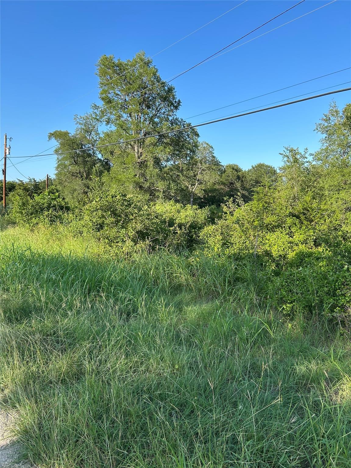TBD Smith Rds, Bastrop, TX 78602