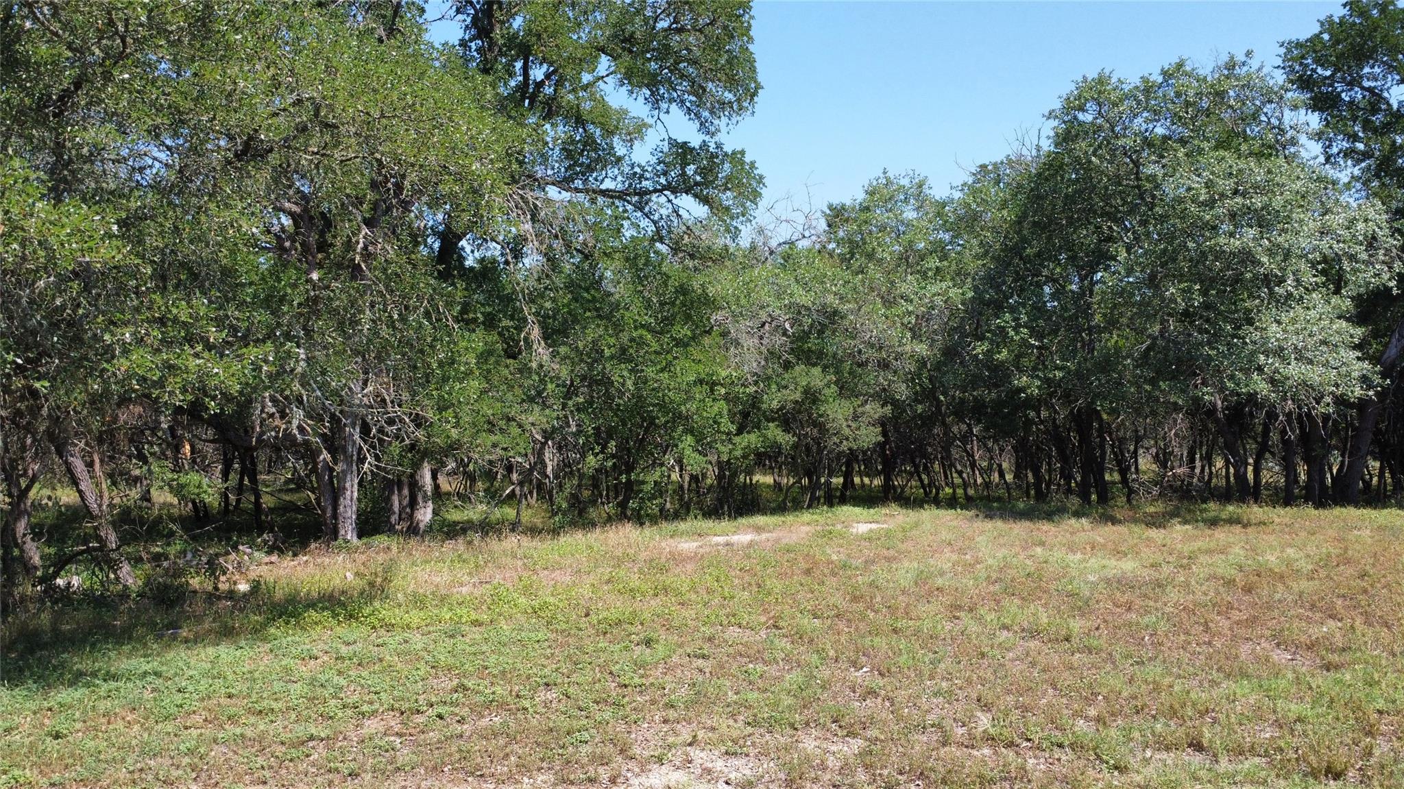 30 Country Oaks Dr, Buda, TX 78610