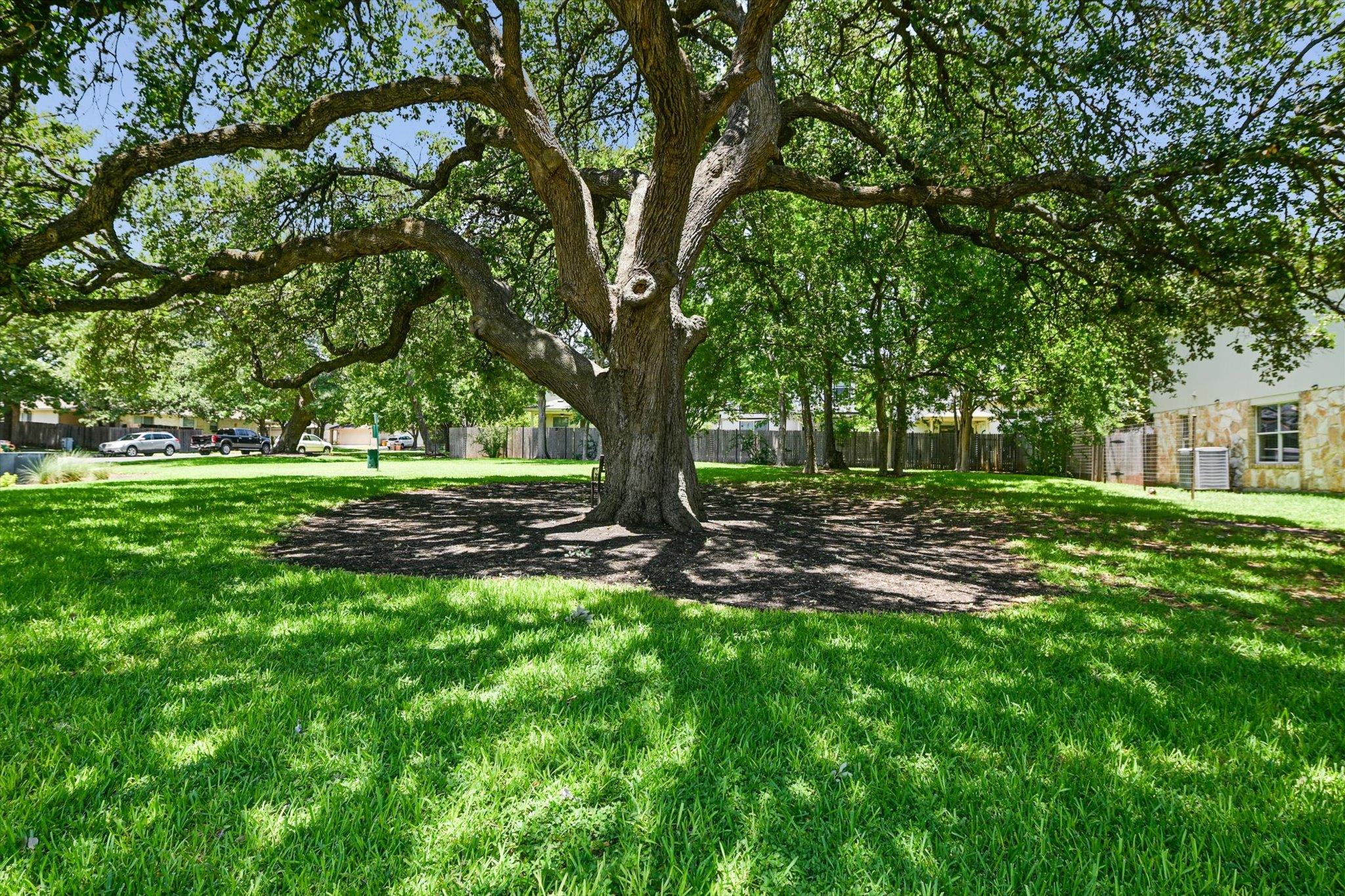 2210 Jesse Owens Dr, Austin, TX 78748