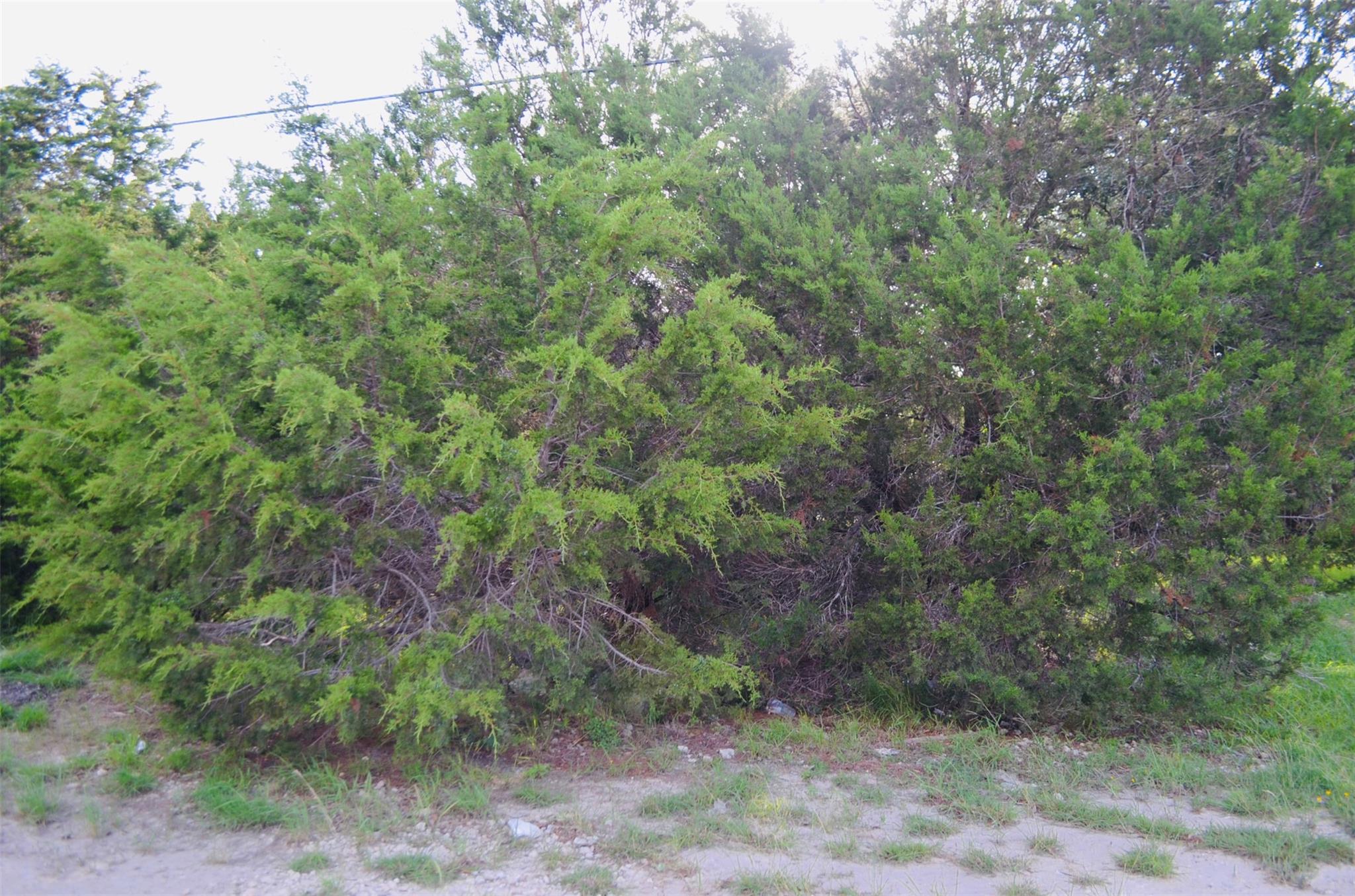 407 Thunderhead St, Spring Branch, TX 78070