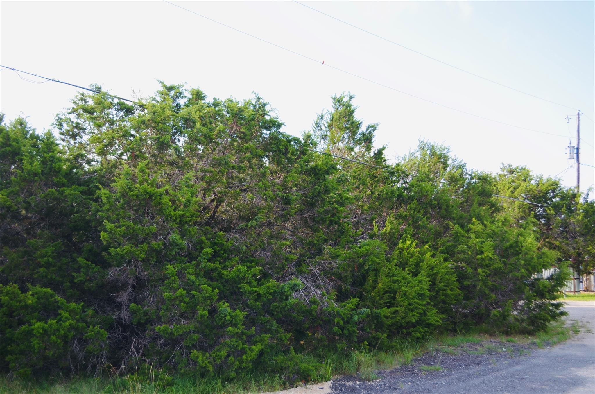 419 Thunderhead St, Spring Branch, TX 78070