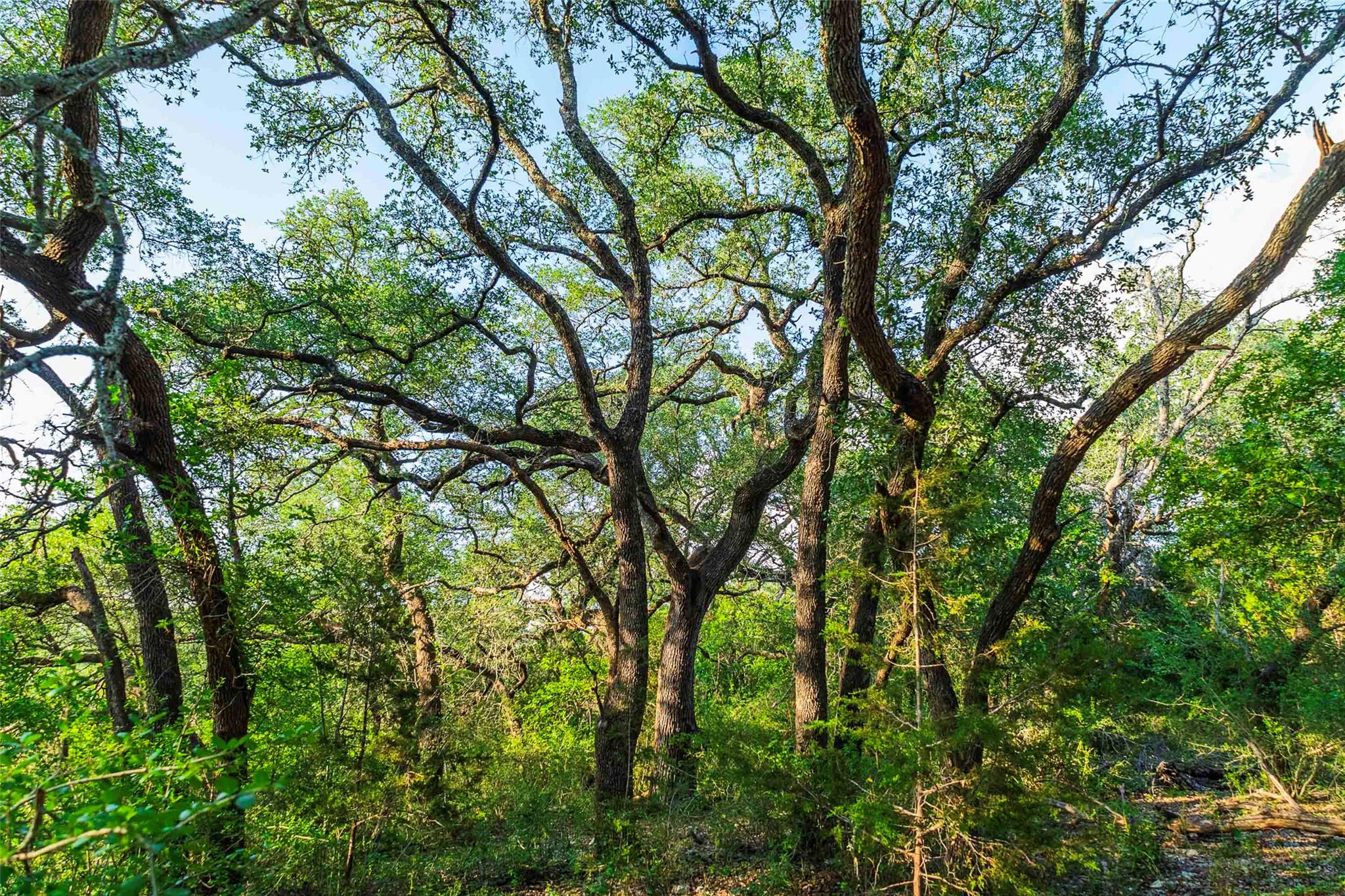 12175 N US Hwy 183, Florence, TX 76527