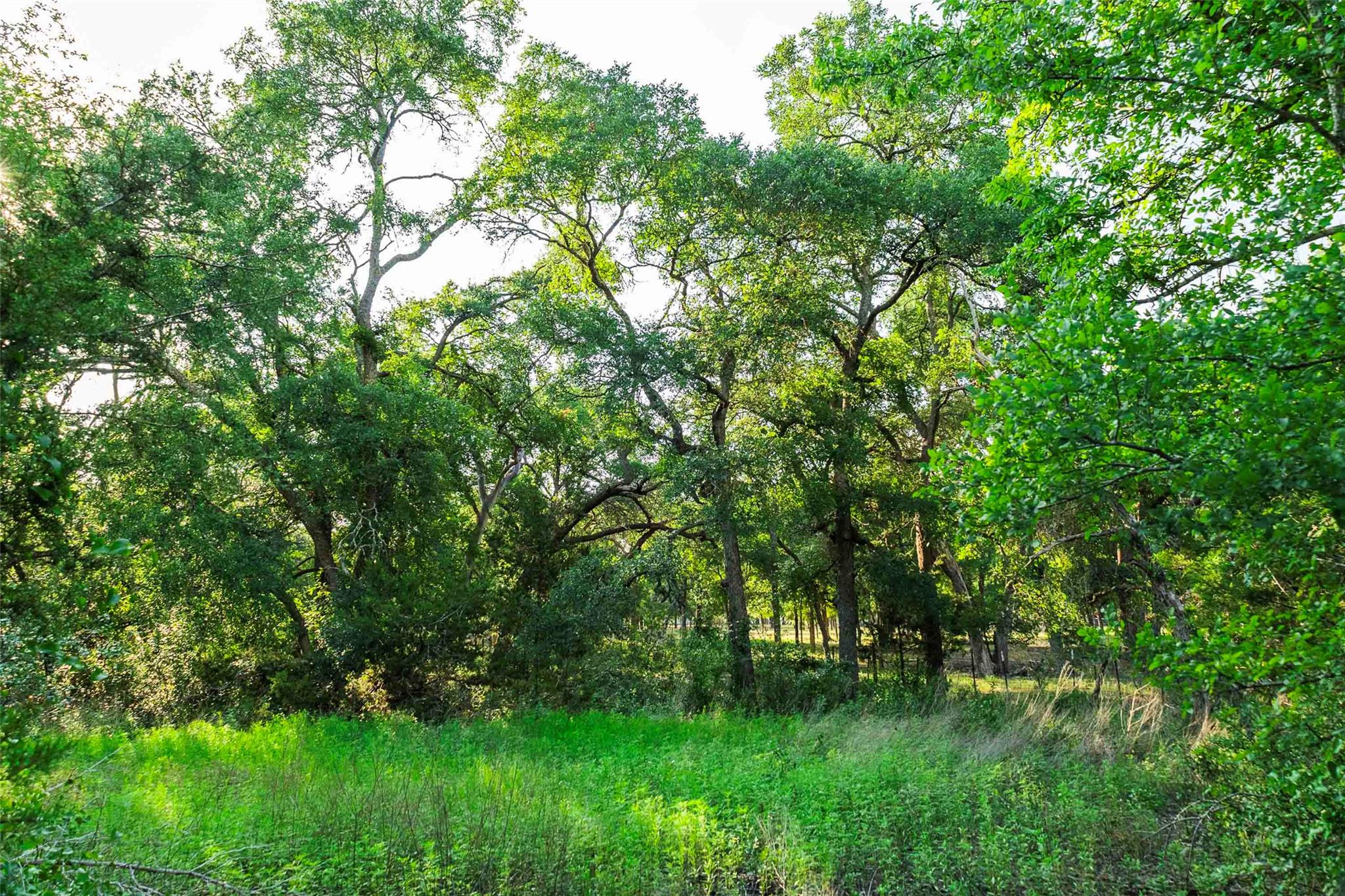 12175 N US Hwy 183, Florence, TX 76527