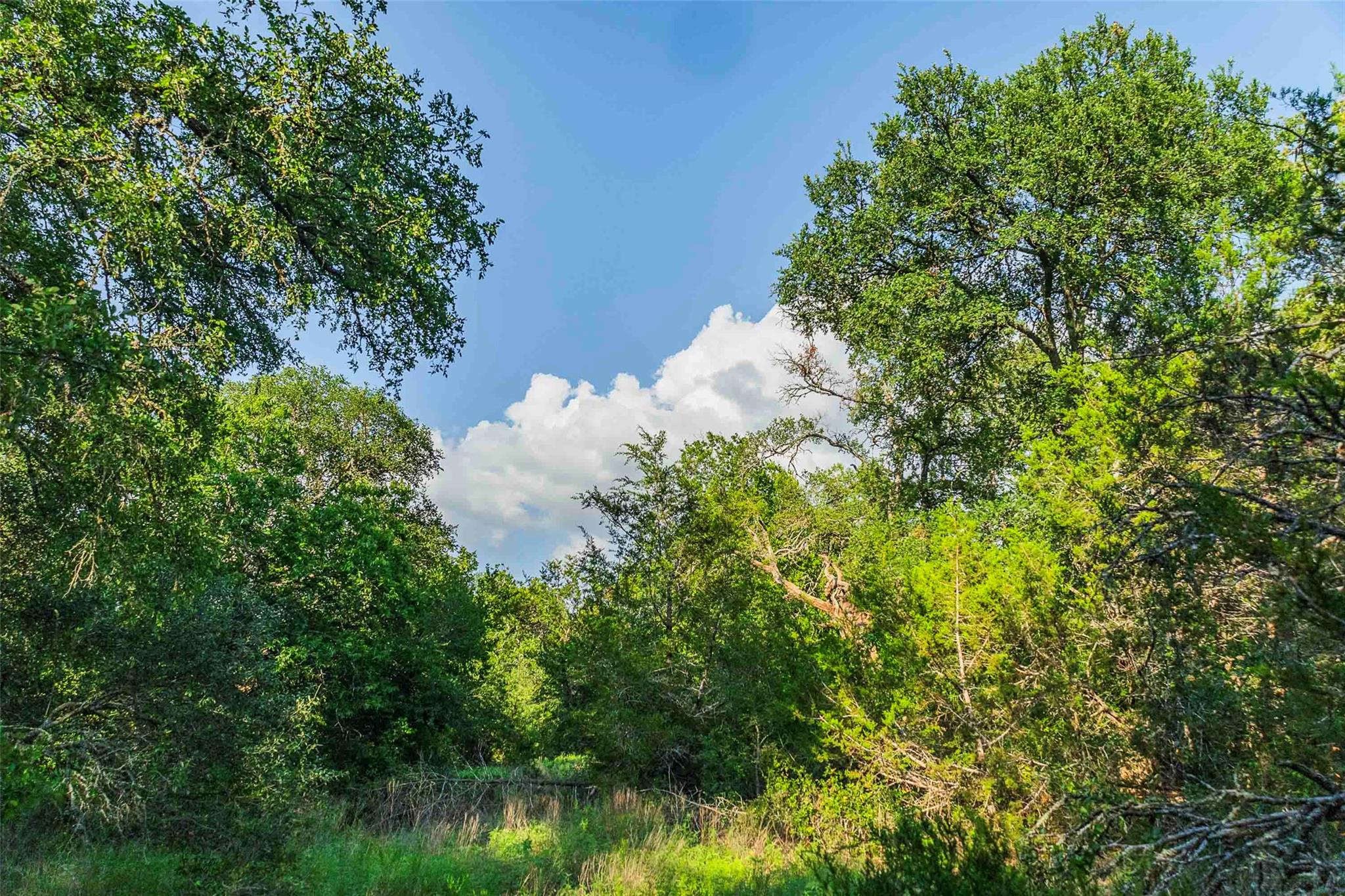 12175 N US Hwy 183, Florence, TX 76527