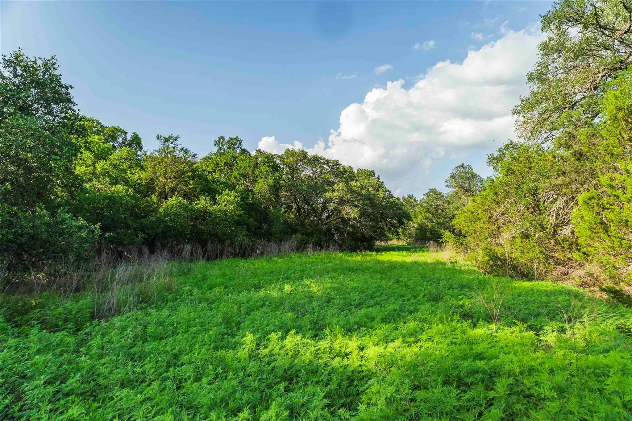 12175 N US Hwy 183, Florence, TX 76527