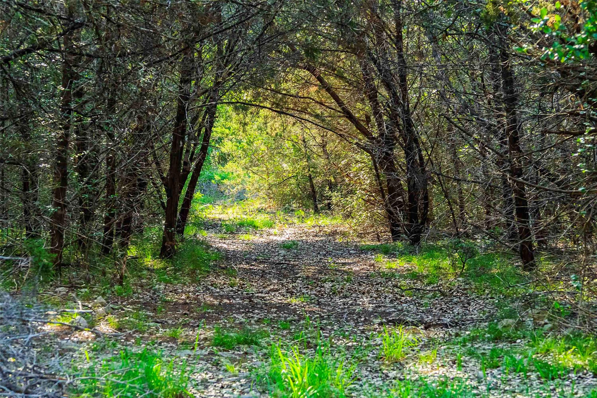 12175 N US Hwy 183, Florence, TX 76527