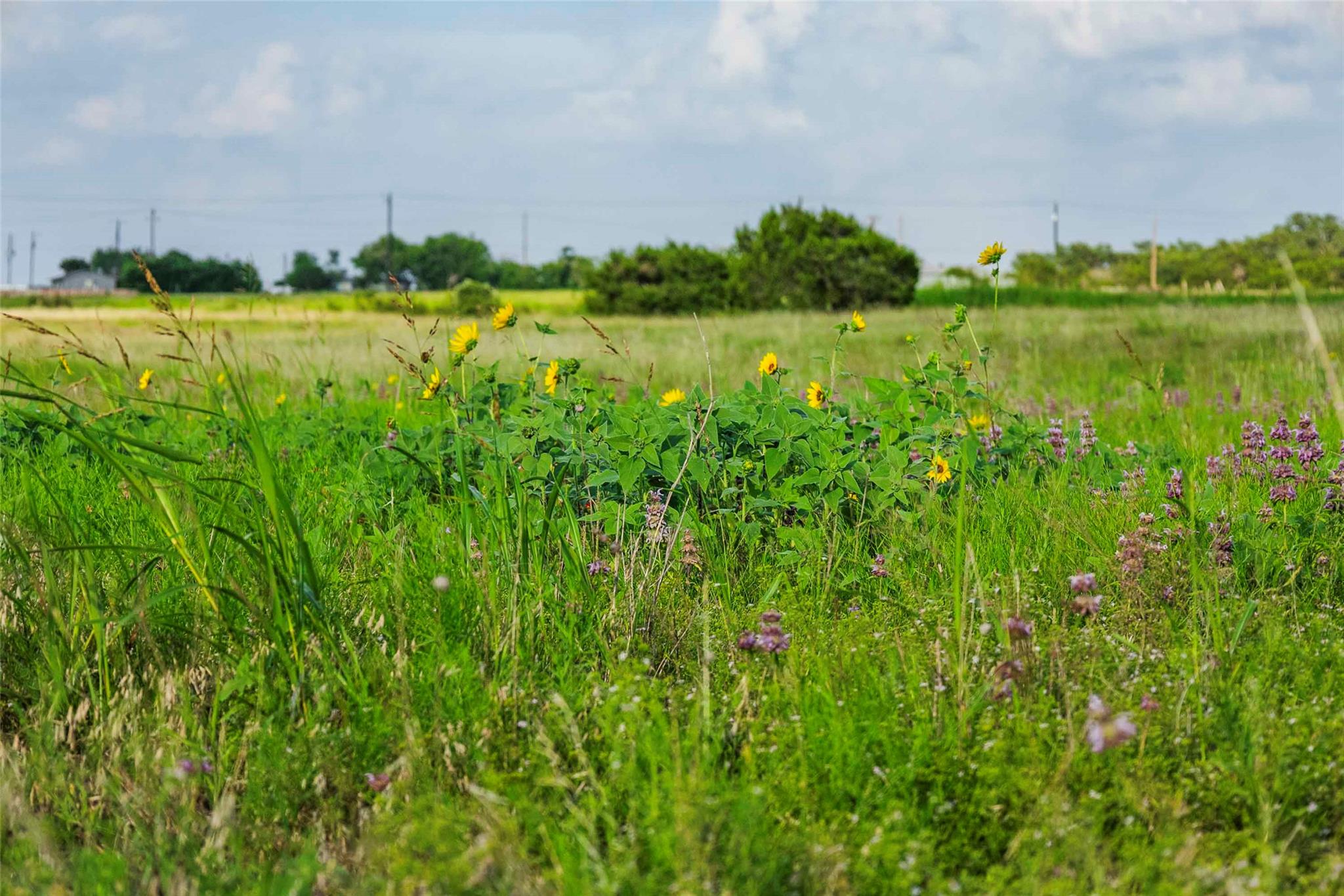 12175 N US Hwy 183, Florence, TX 76527