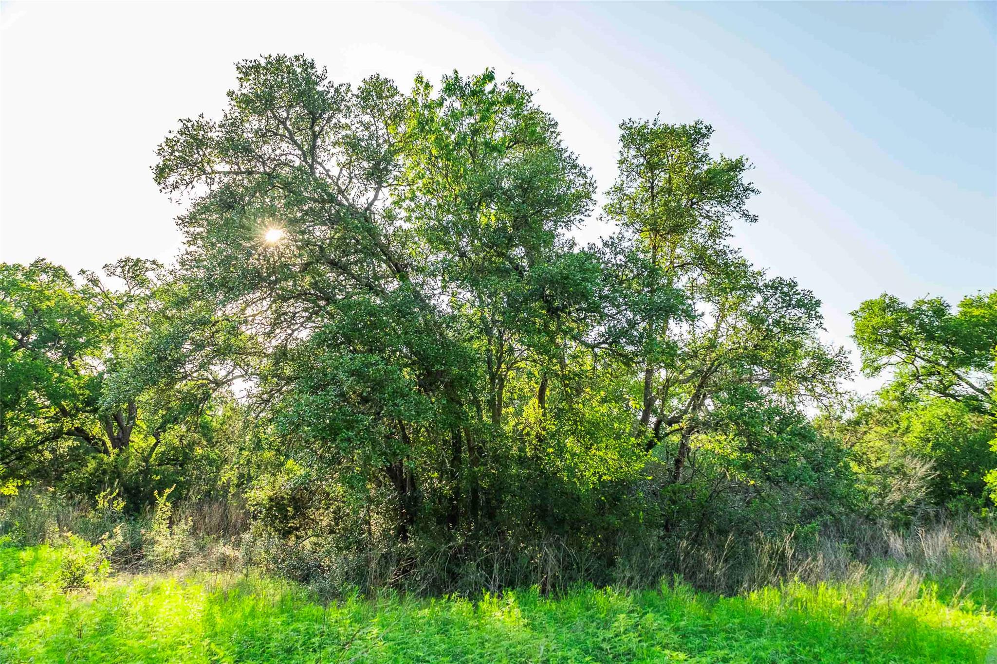 12175 N US Hwy 183, Florence, TX 76527