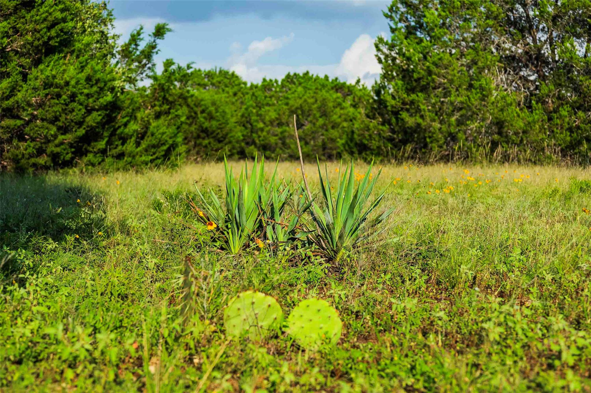 12175 N US Hwy 183, Florence, TX 76527