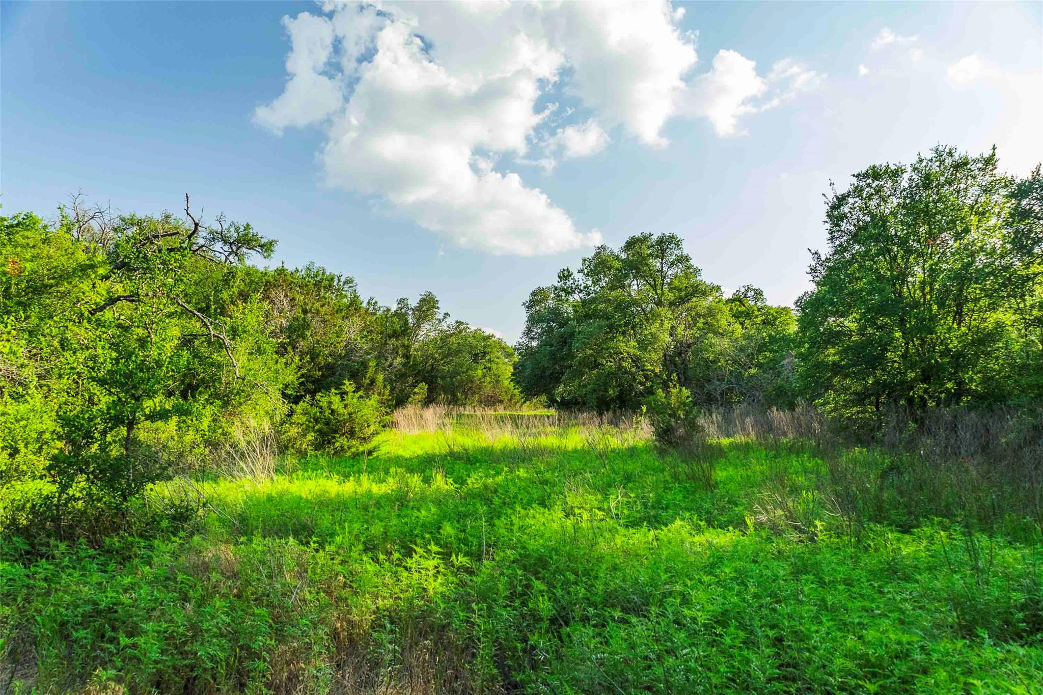 12175 N US Hwy 183, Florence, TX 76527