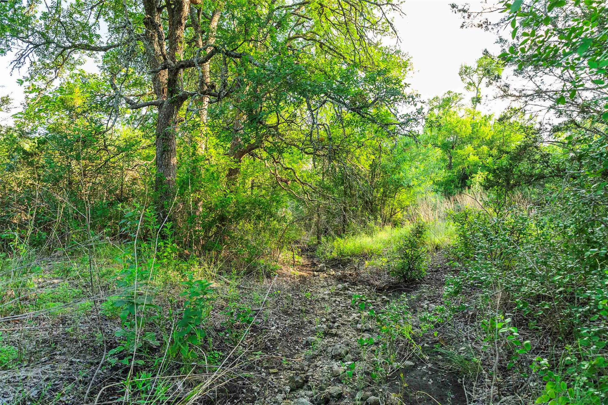 12175 N US Hwy 183, Florence, TX 76527