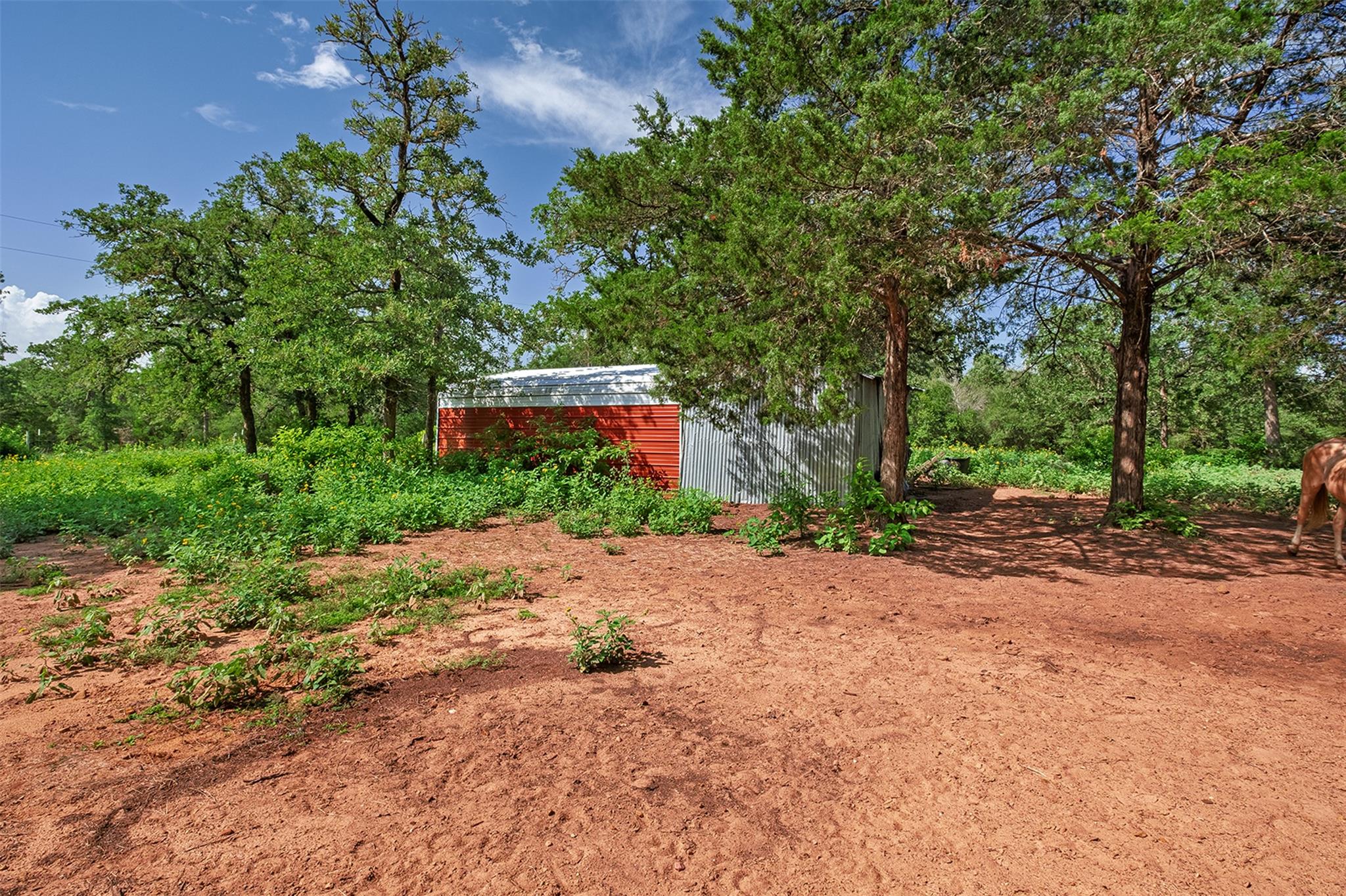 1231 Peach Creek Rd, Waelder, TX 78959