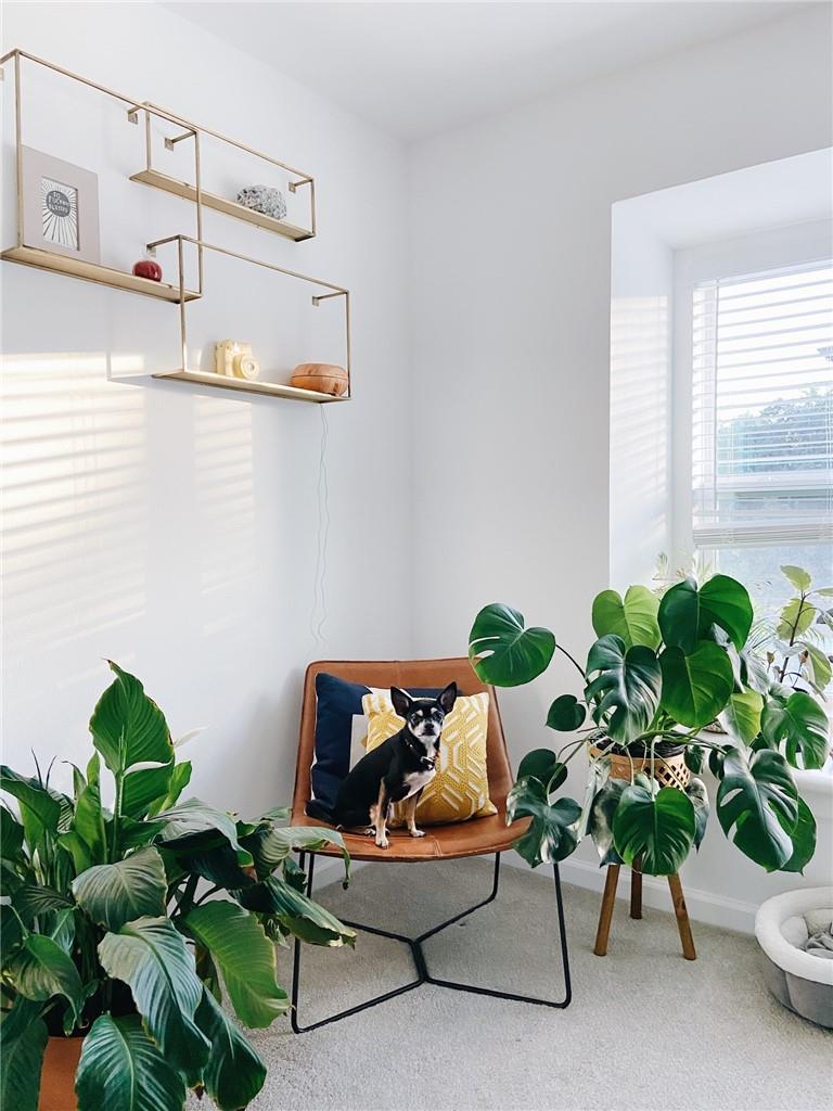 3604 Clawson Rd # 203, Austin, TX 78704