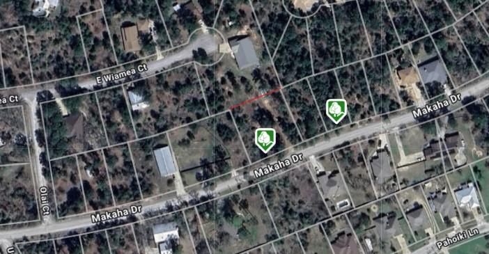 00 Makaha Dr, Bastrop, TX 78602