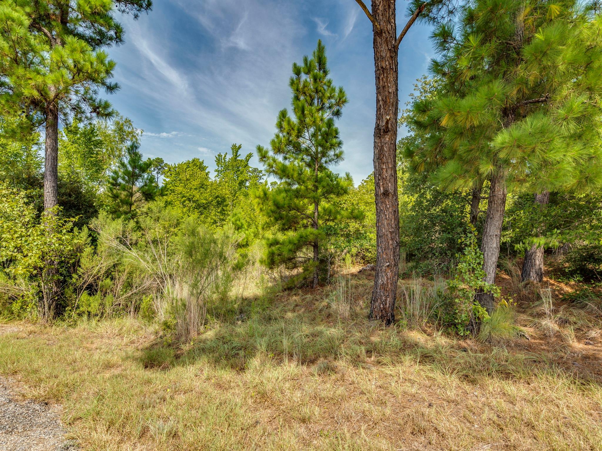 00 Makaha Dr, Bastrop, TX 78602