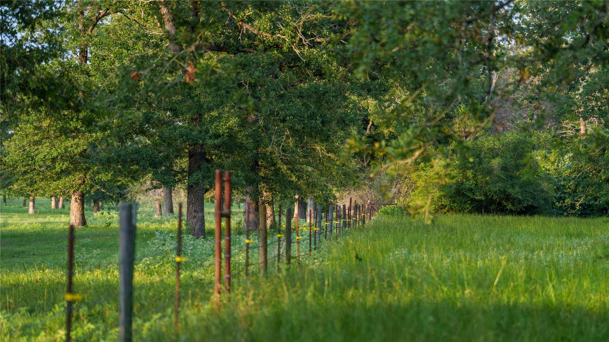 8058 Milam County Road 455, Thorndale, TX 78947