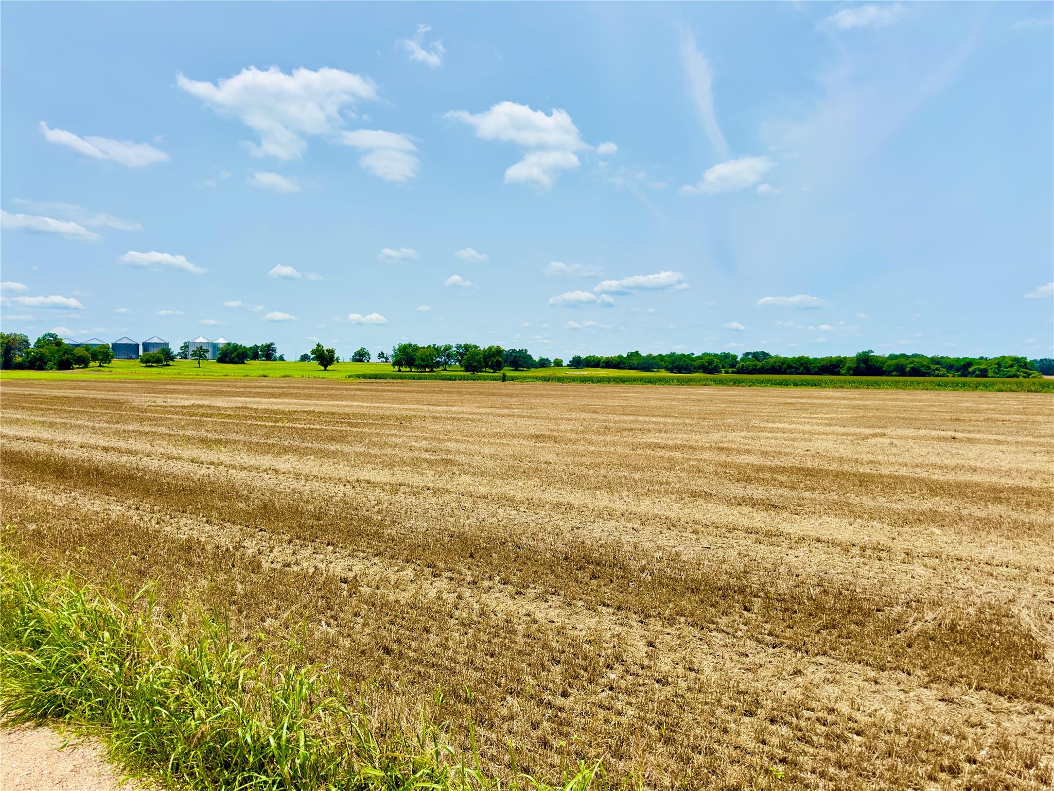 TBD1 FM 406, Buckholts, TX 76518