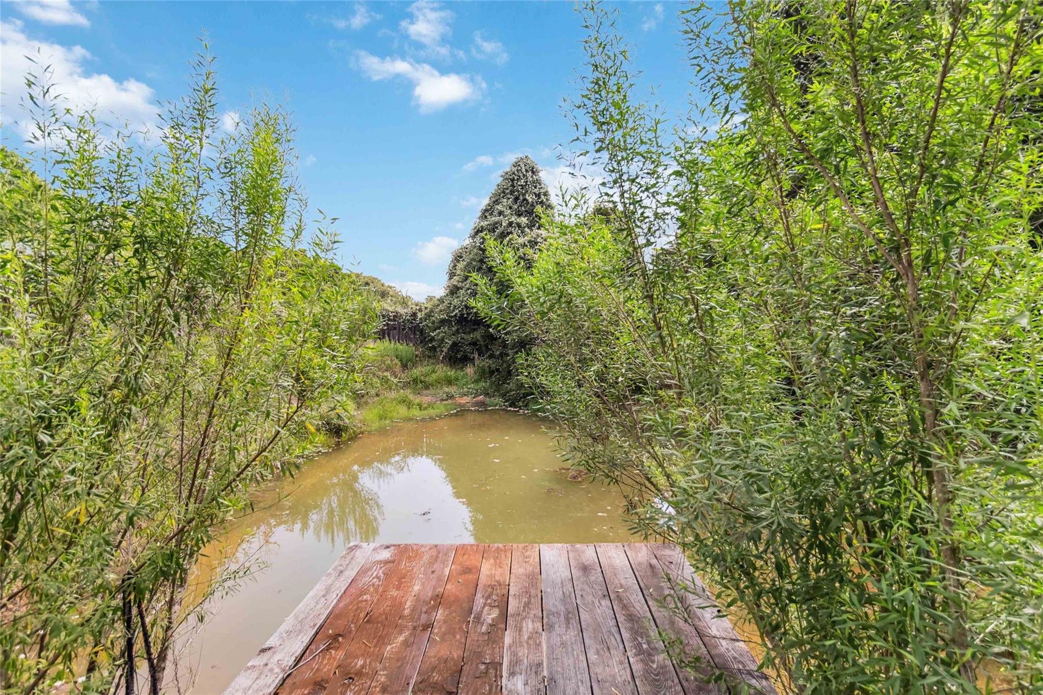 208 Old Potato Rd, Paige, TX 78659