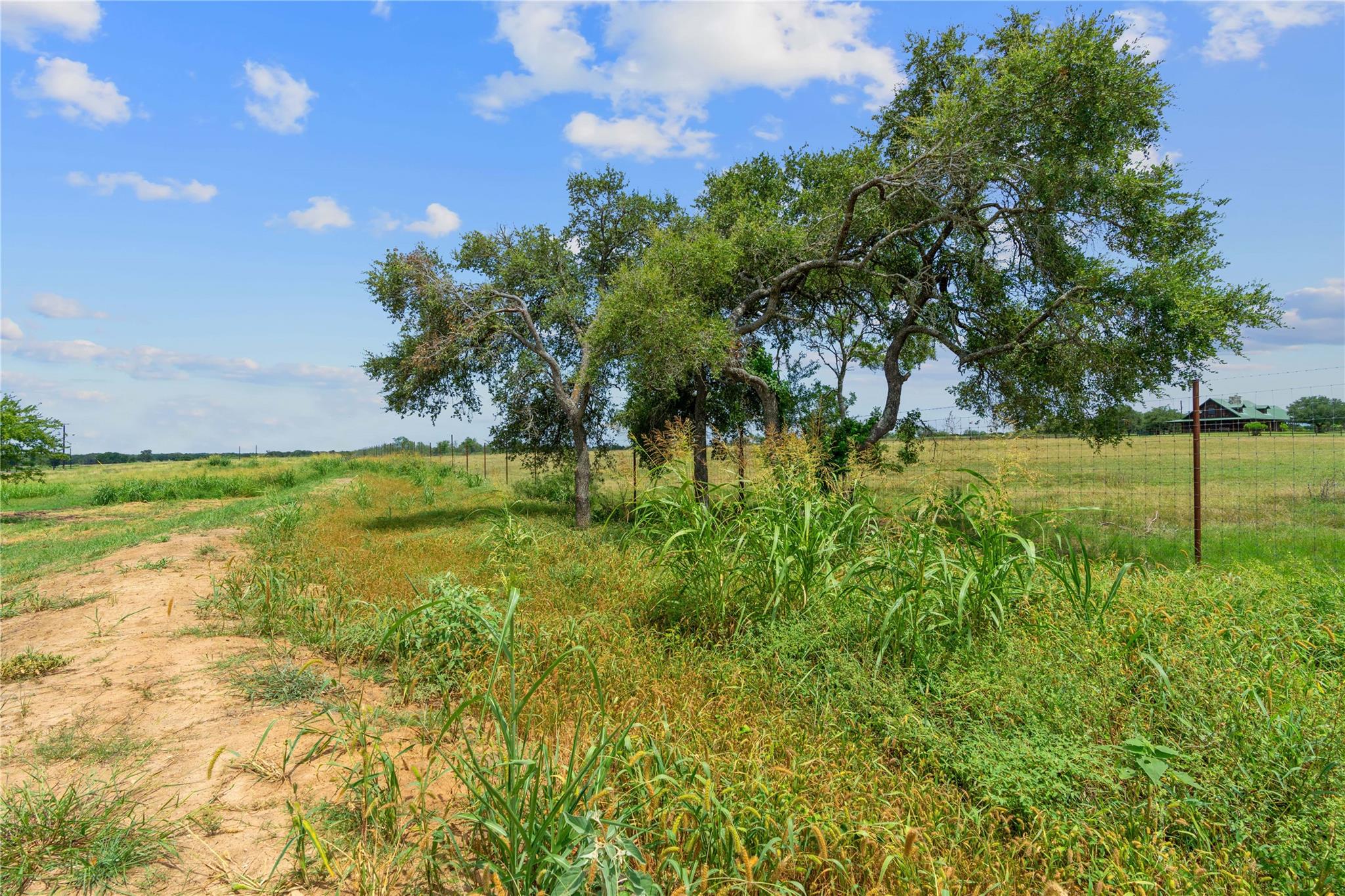 370 Altidore Ave, Dale, TX 78616