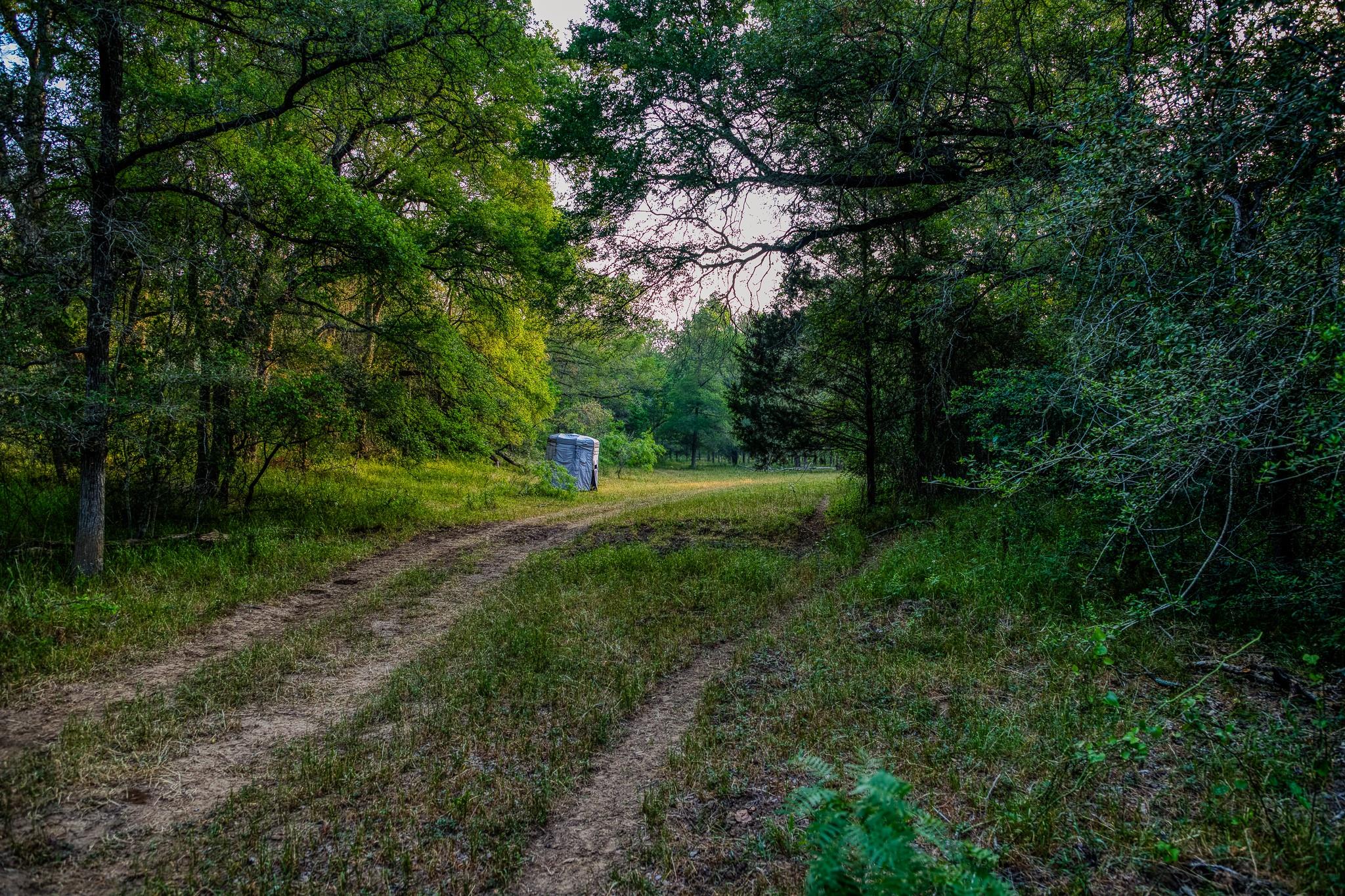 196 Willy Rd, Bastrop, TX 78602
