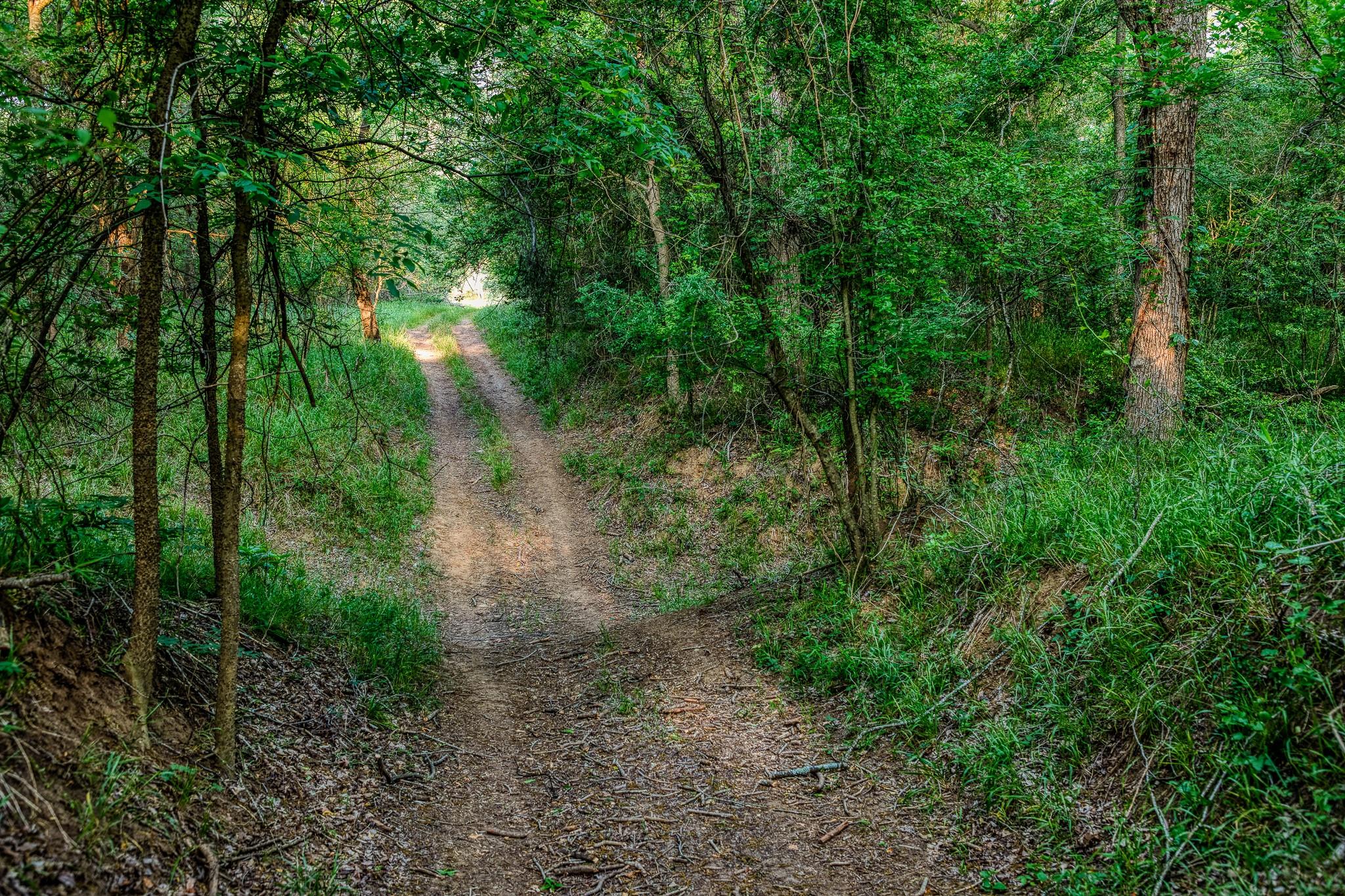 196 Willy Rd, Bastrop, TX 78602