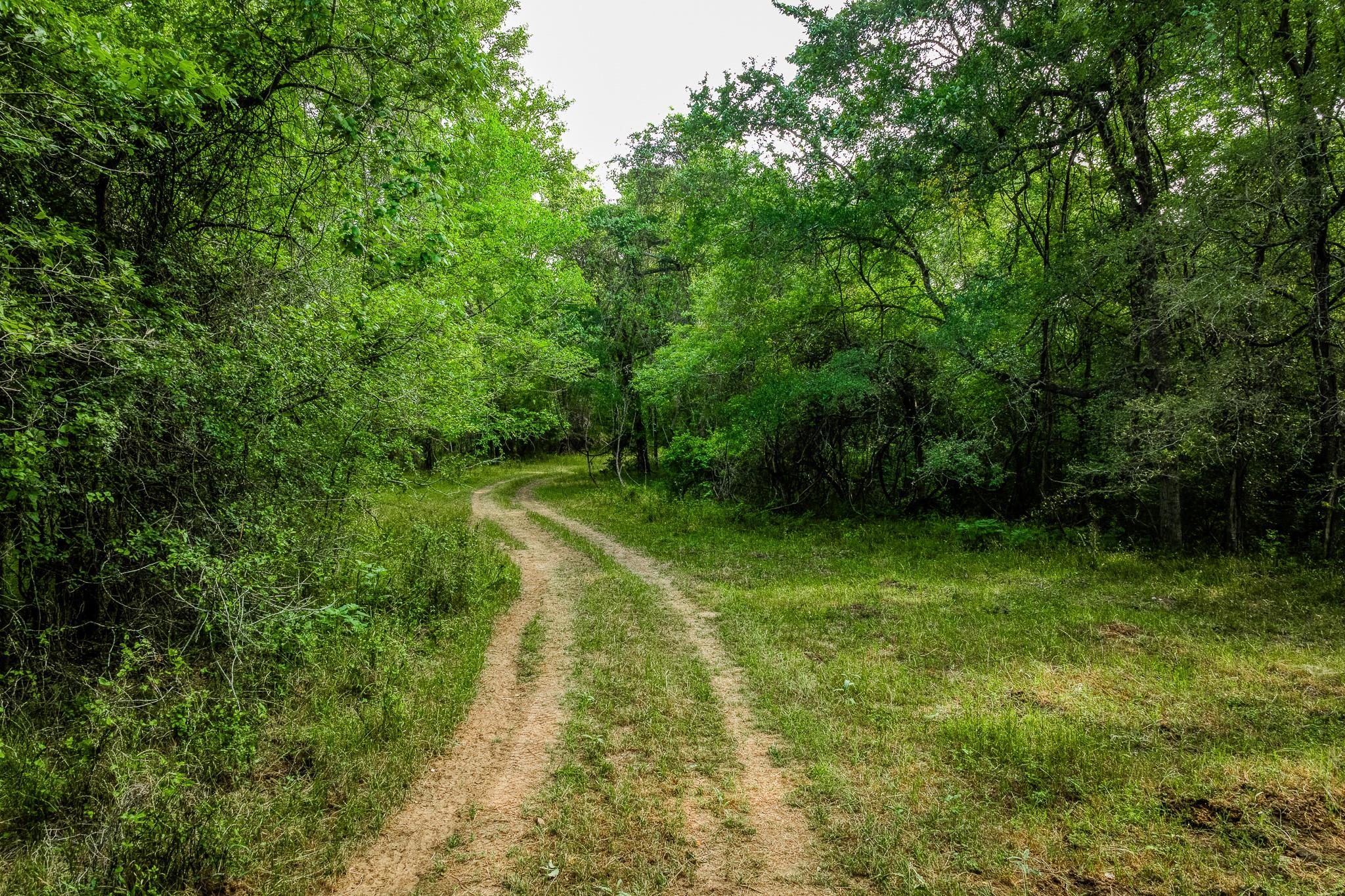 196 Willy Rd, Bastrop, TX 78602