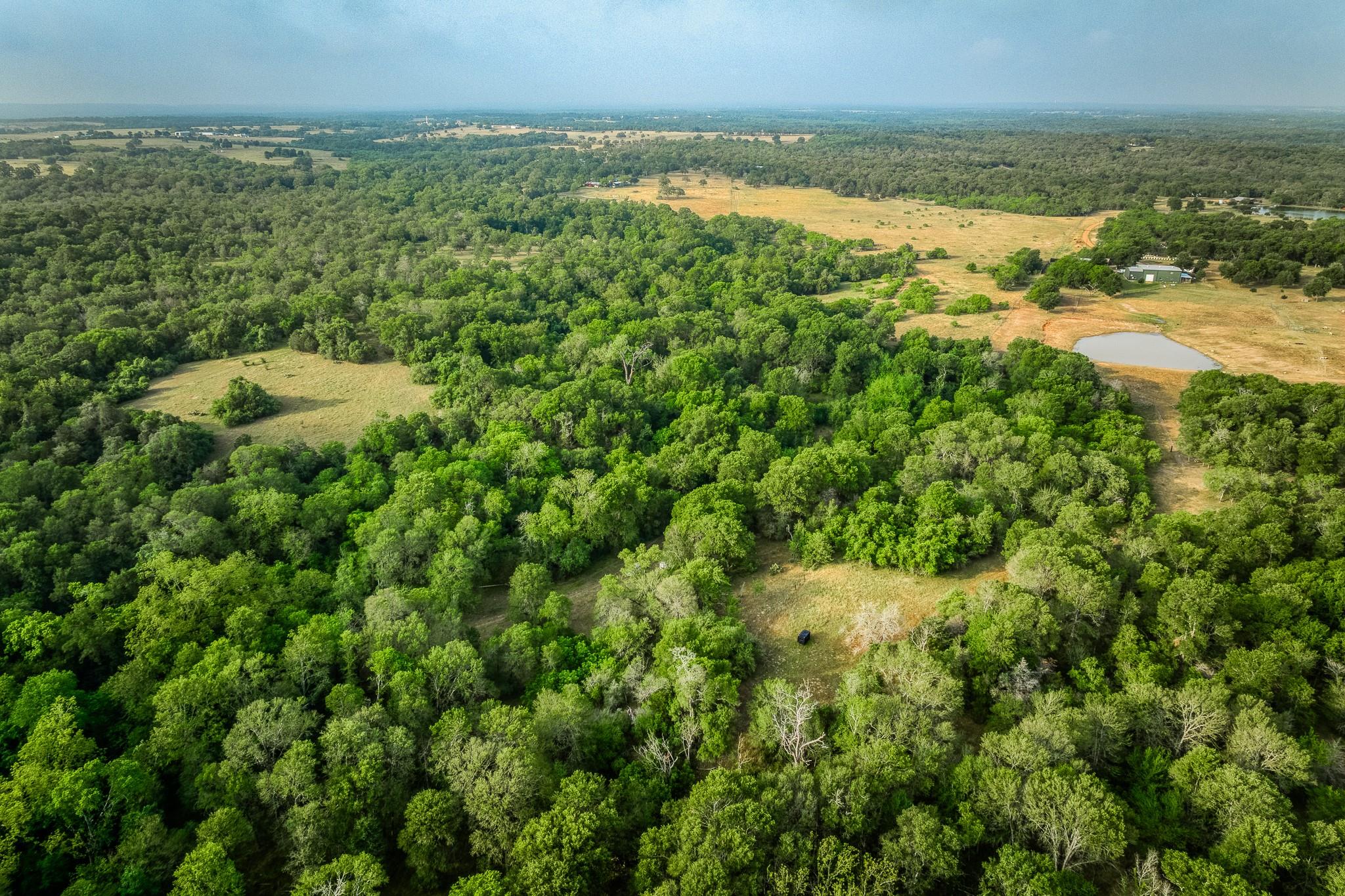 196 Willy Rd, Bastrop, TX 78602