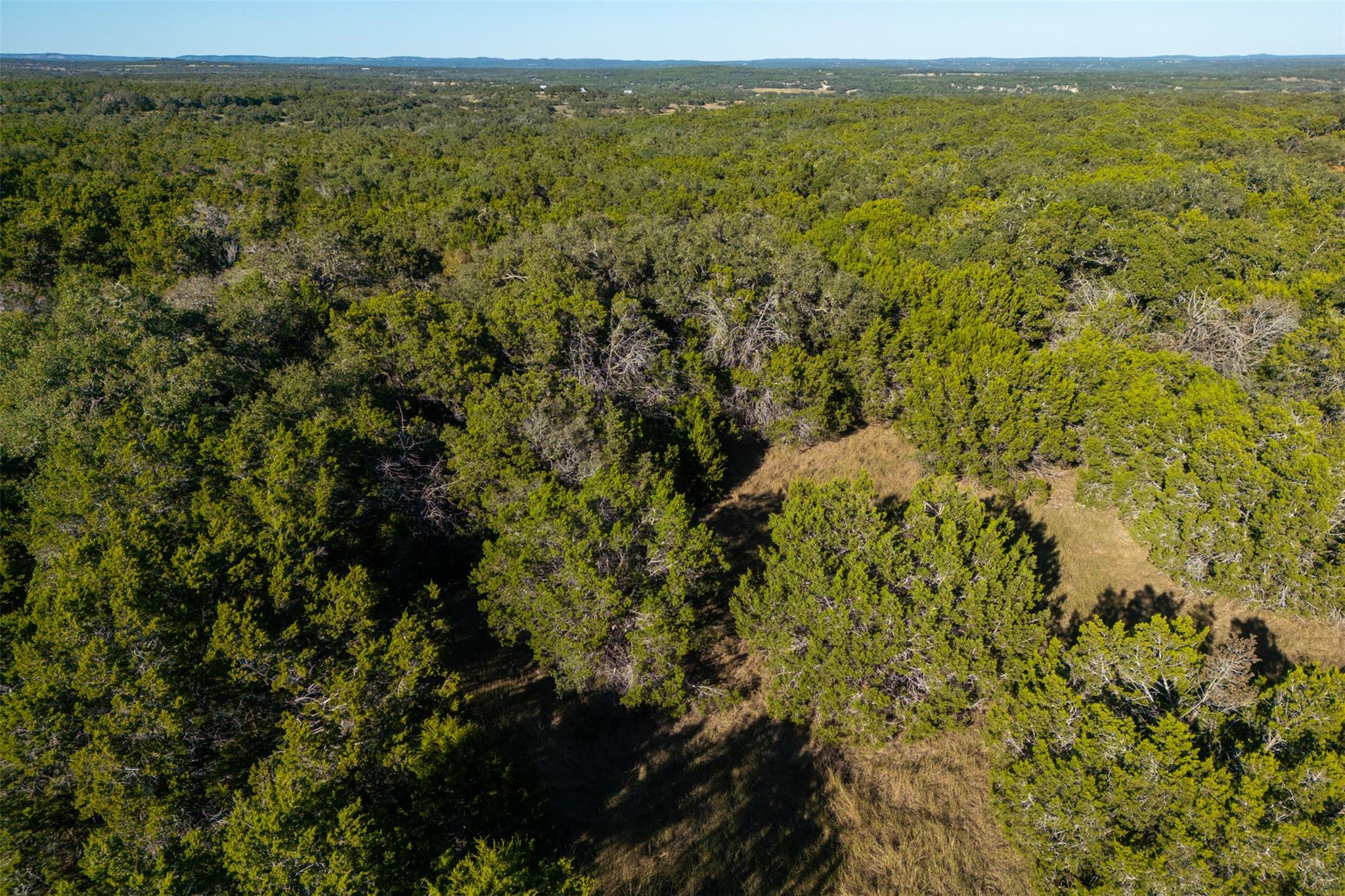 1101 Madrone Rd, Fischer, TX 78623