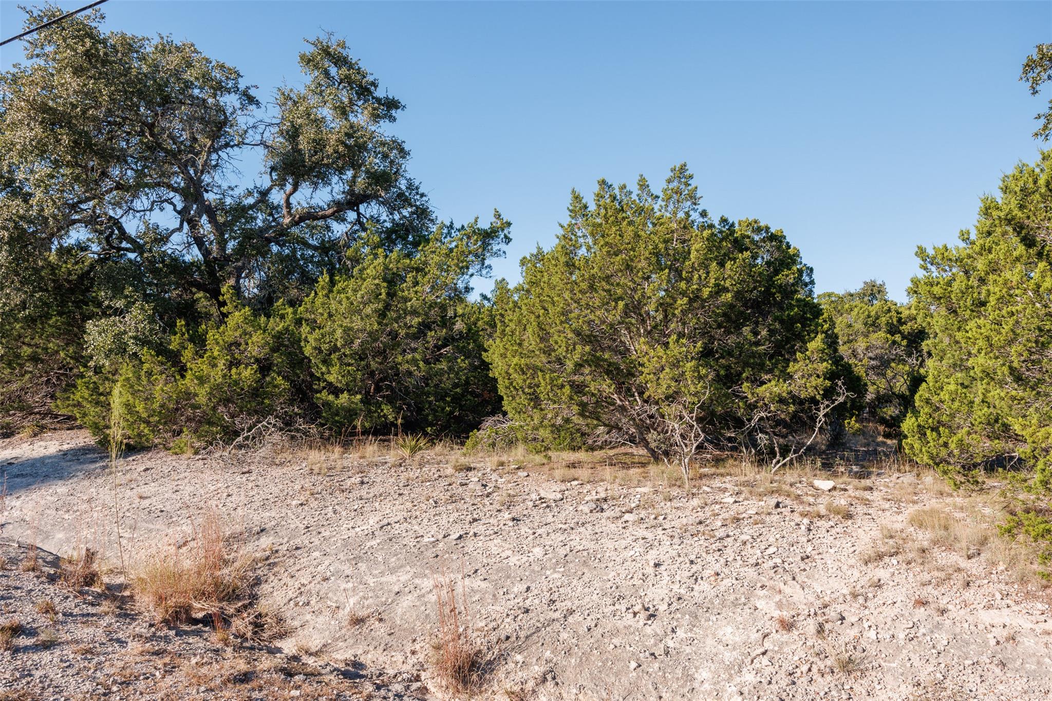 1101 Madrone Rd, Fischer, TX 78623