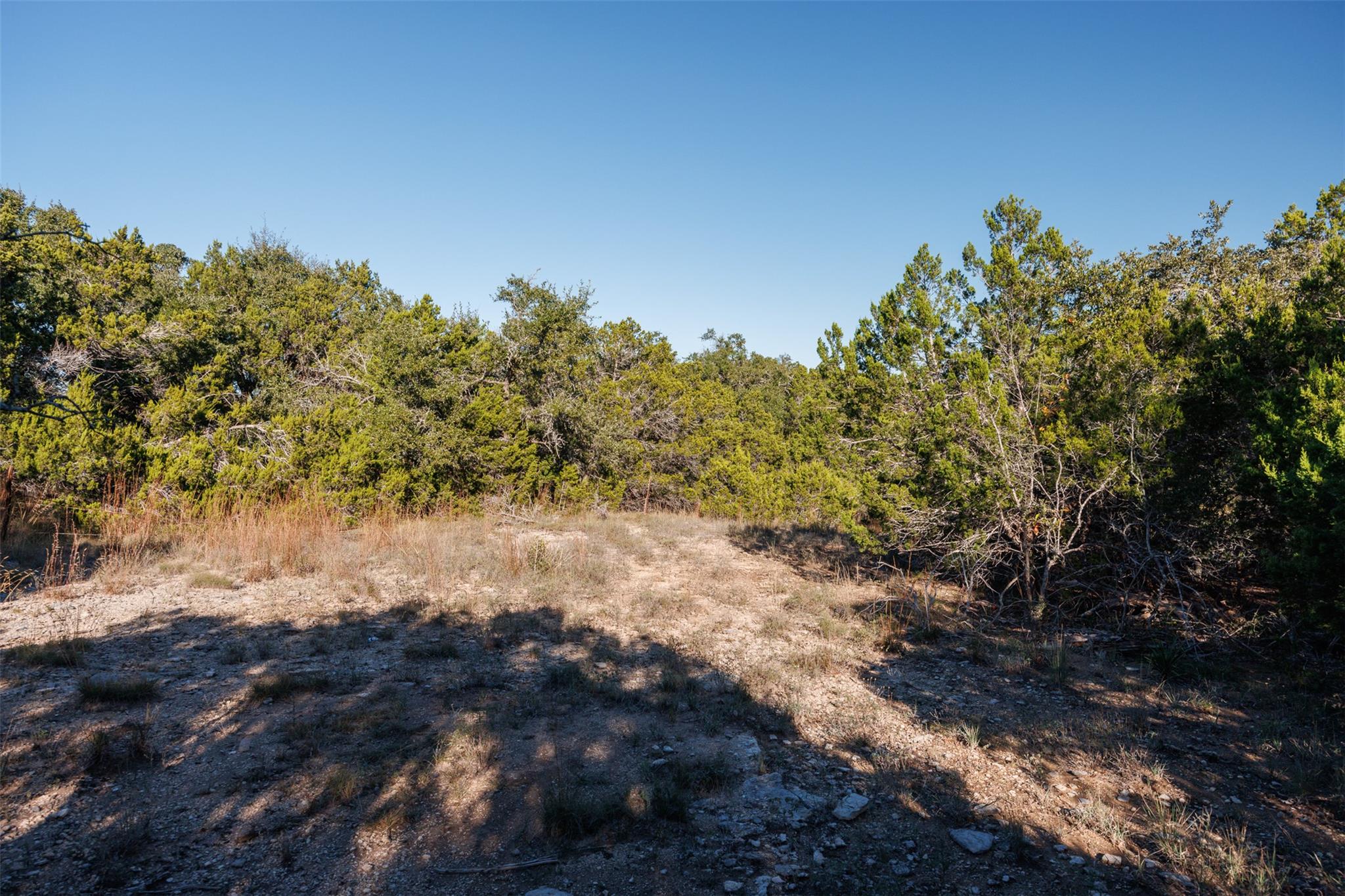 1101 Madrone Rd, Fischer, TX 78623