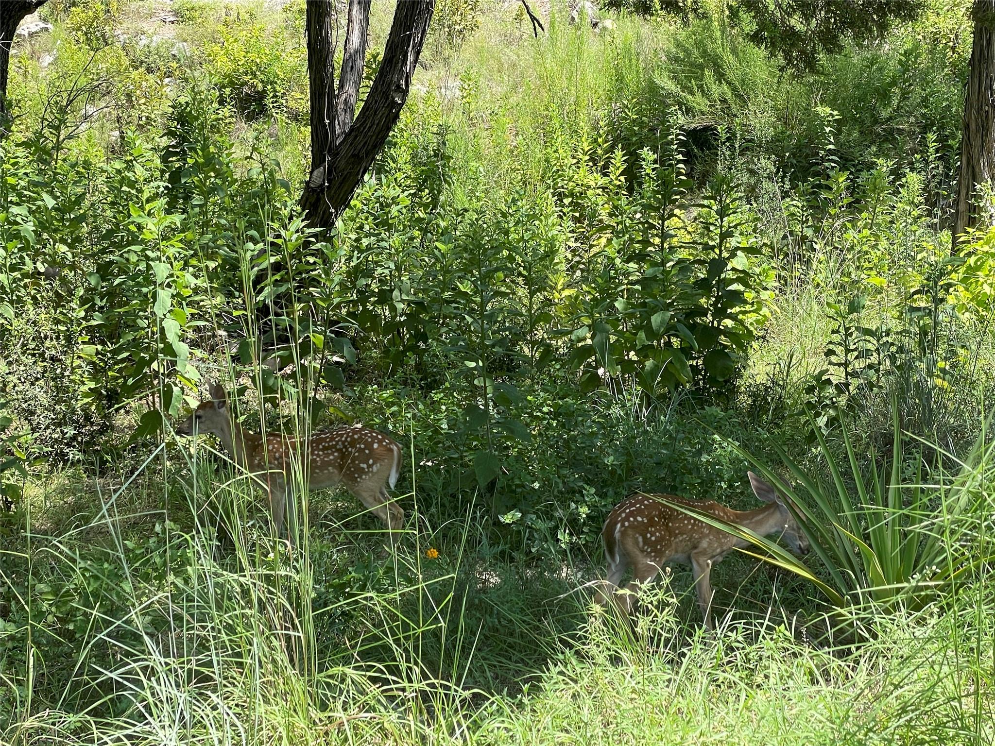 4908 Arrowhead Dr, Lago Vista, TX 78645