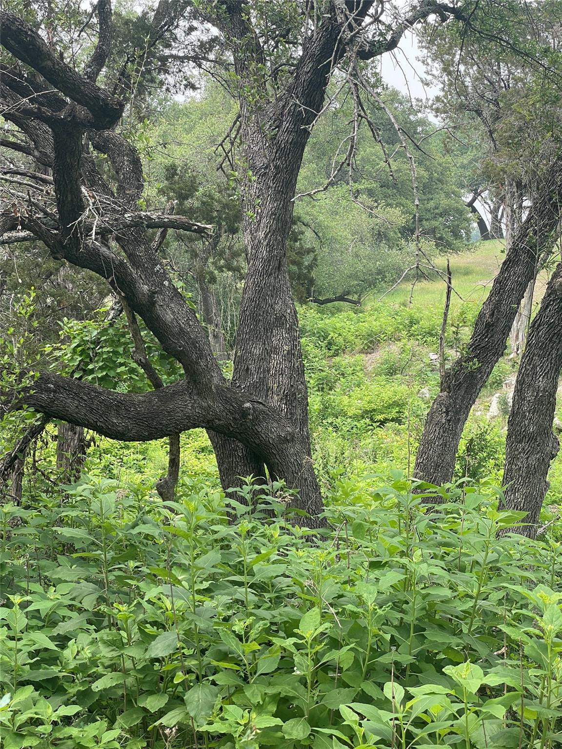 4908 Arrowhead Dr, Lago Vista, TX 78645