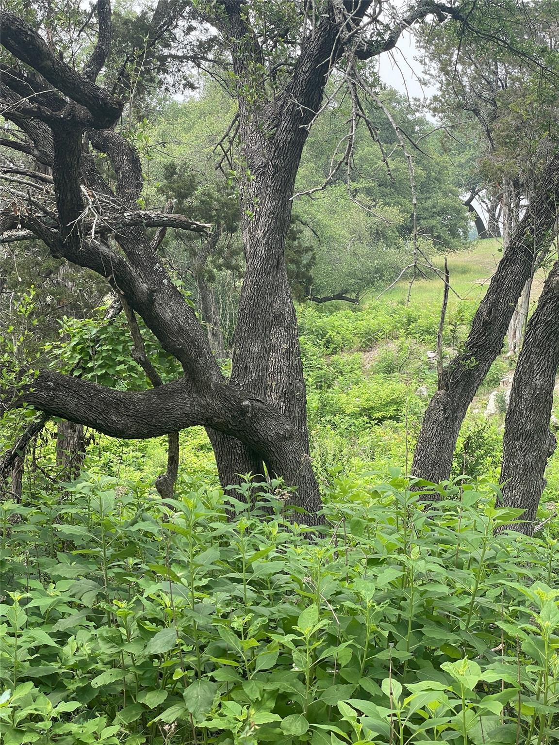 4908 Arrowhead Dr, Lago Vista, TX 78645