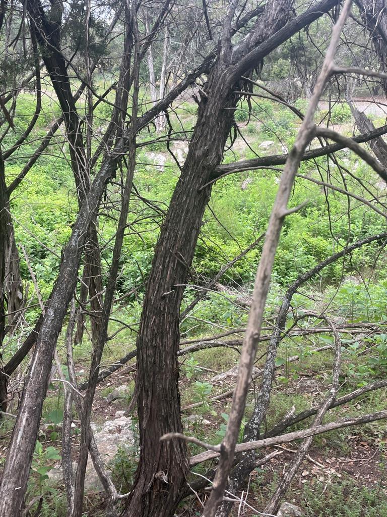 4908 Arrowhead Dr, Lago Vista, TX 78645