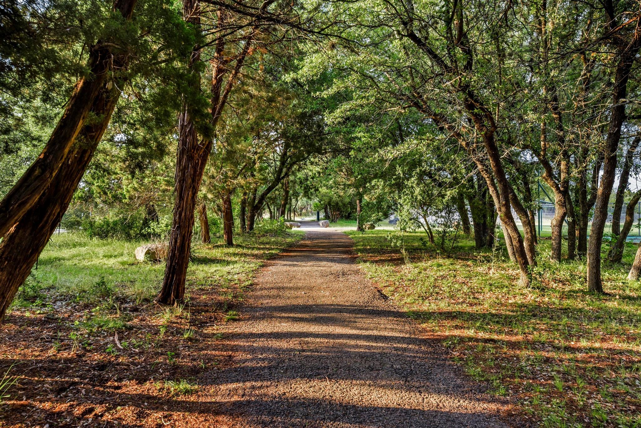 501 Flamingo Blvd, Lakeway, TX 78734