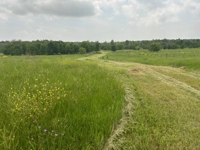 12155 E Travis St, Holland, TX 76534